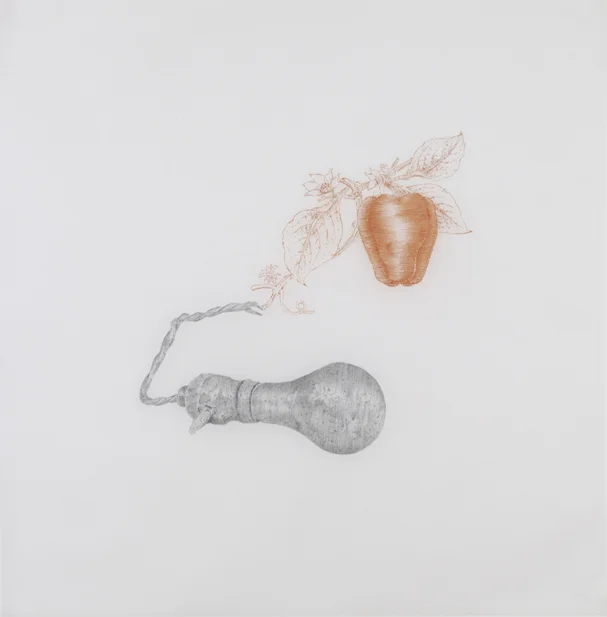 Jasper Johns , 2010, pencil and sanguine on tracing paper, 41 x 41 inches/ 104 x 104 cm