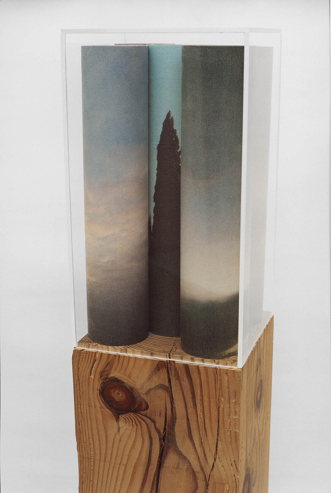  Efímera estación, 1999, Print on canvas, wood and plexiglass, 64.1 x 9 x 9 inches / 163 x 23 x 23 cm 