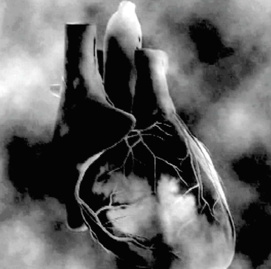Heart.png