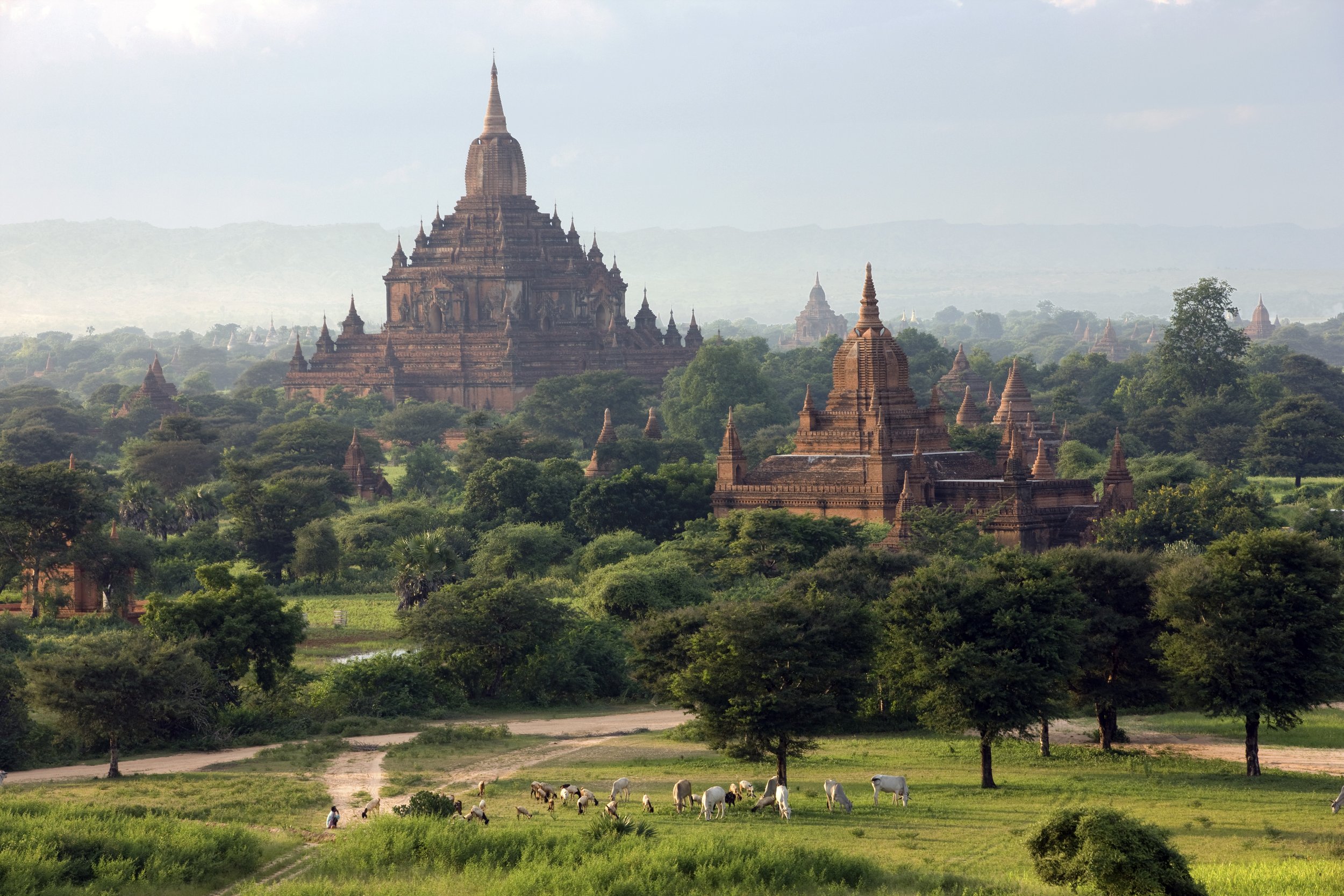Bagan Plain.jpg