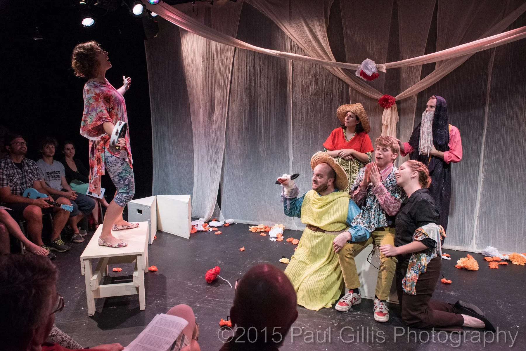 Copyright 2015 by Paul Gillis Photography