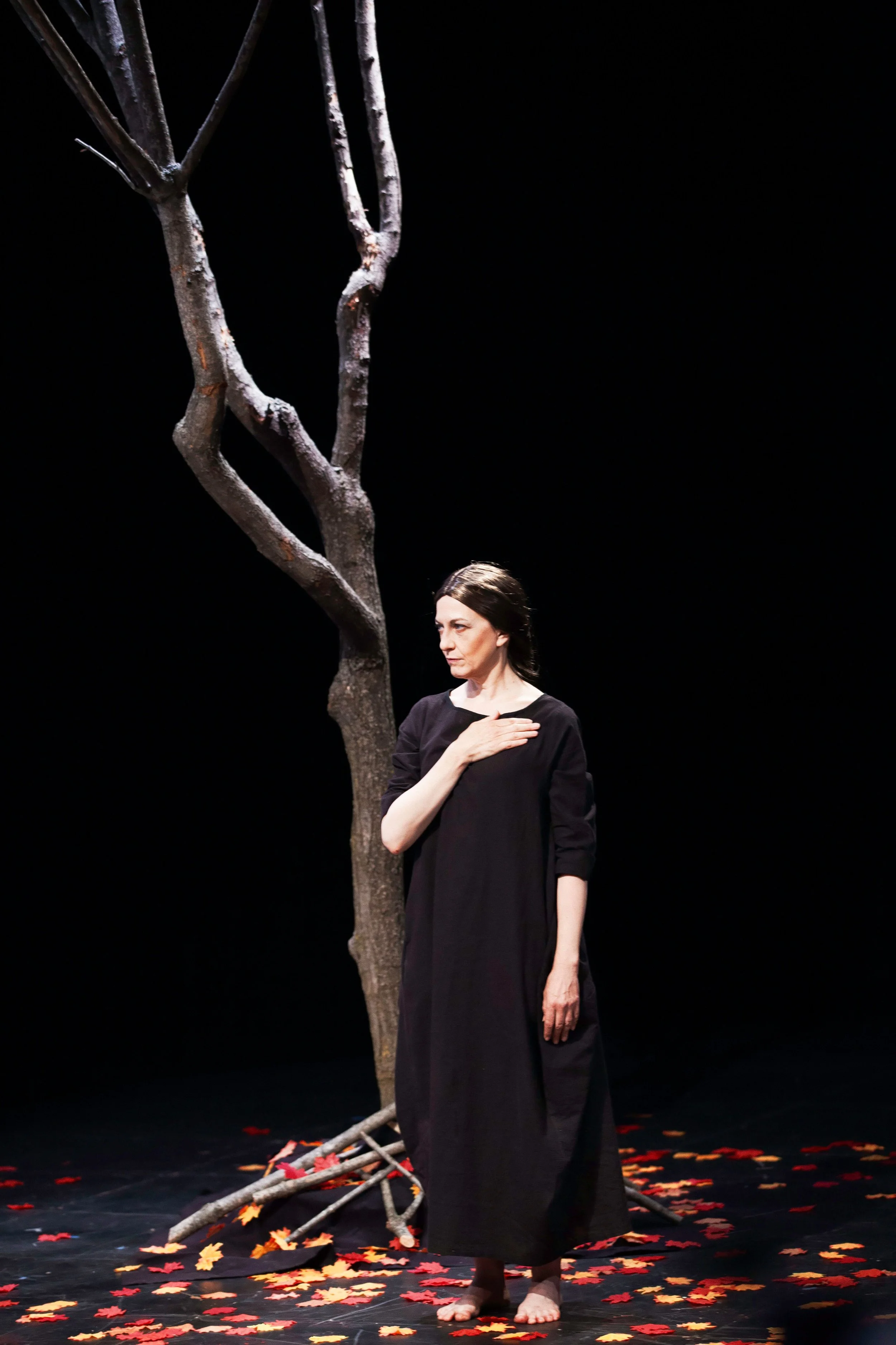 Macbeth - STC's ACA