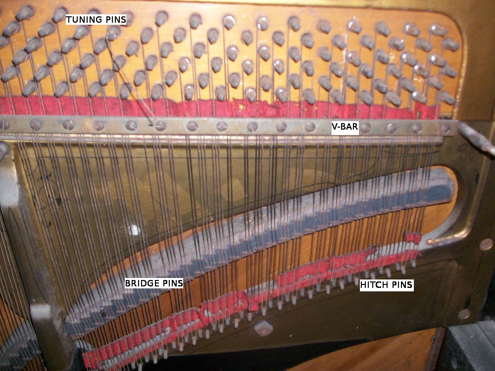 grand piano top view strings