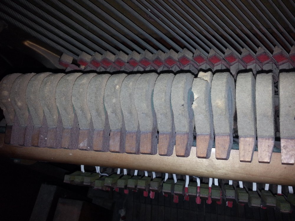 Pitted hammer felt caused by rodents