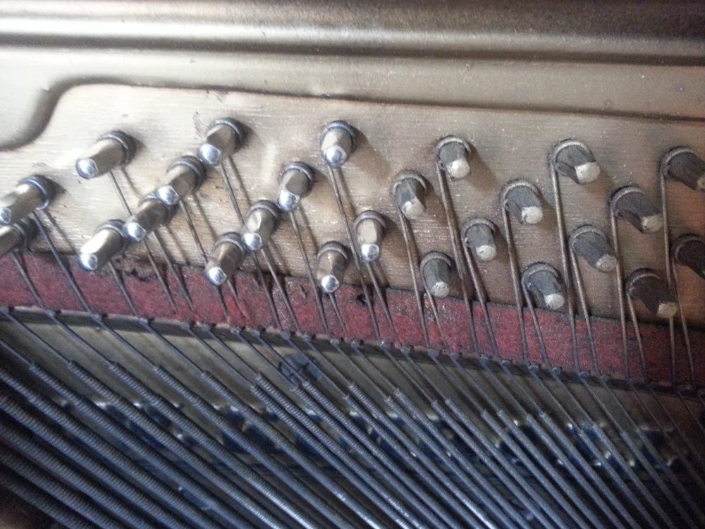 Bass tuning pins in a Kimball upright. The shiny pins on the left are slightly larger replacement pins. The dull pins on the right are the originals that no longer are able to do their job of holding tension on the strings.