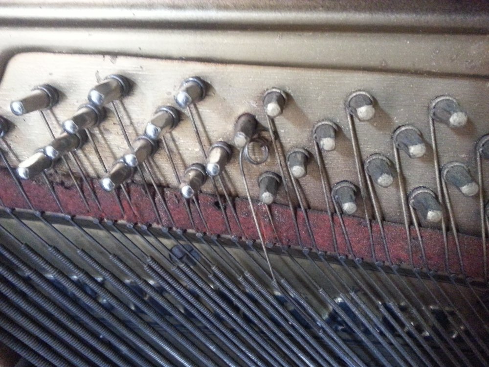 The coil fully removed from the tuning pin.