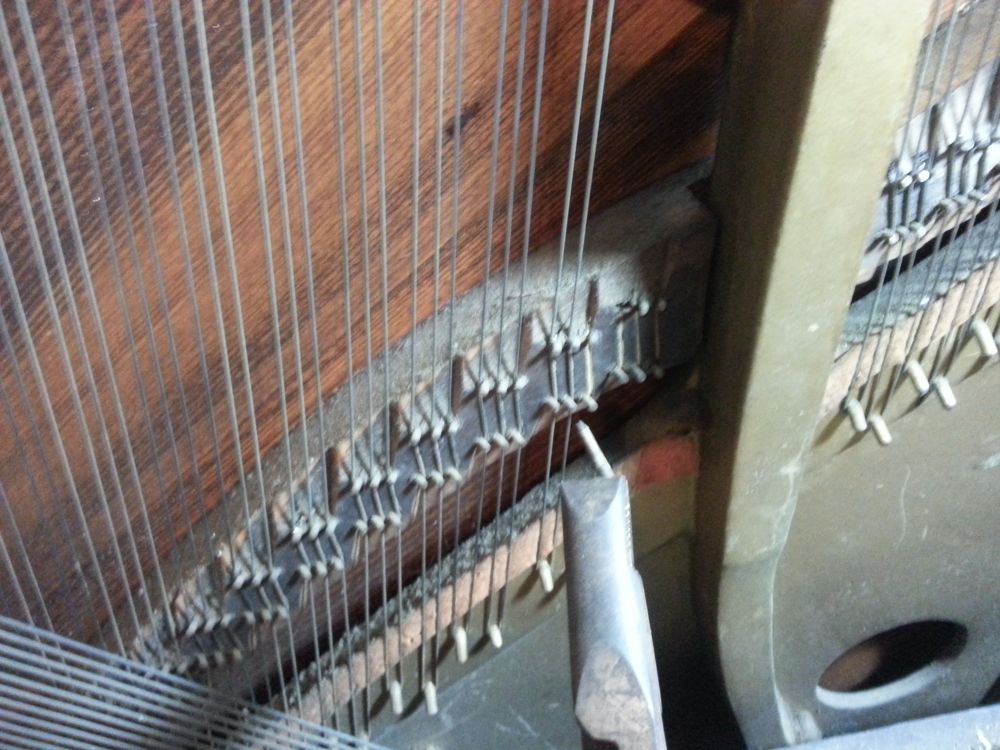 A removed bridge pin.
