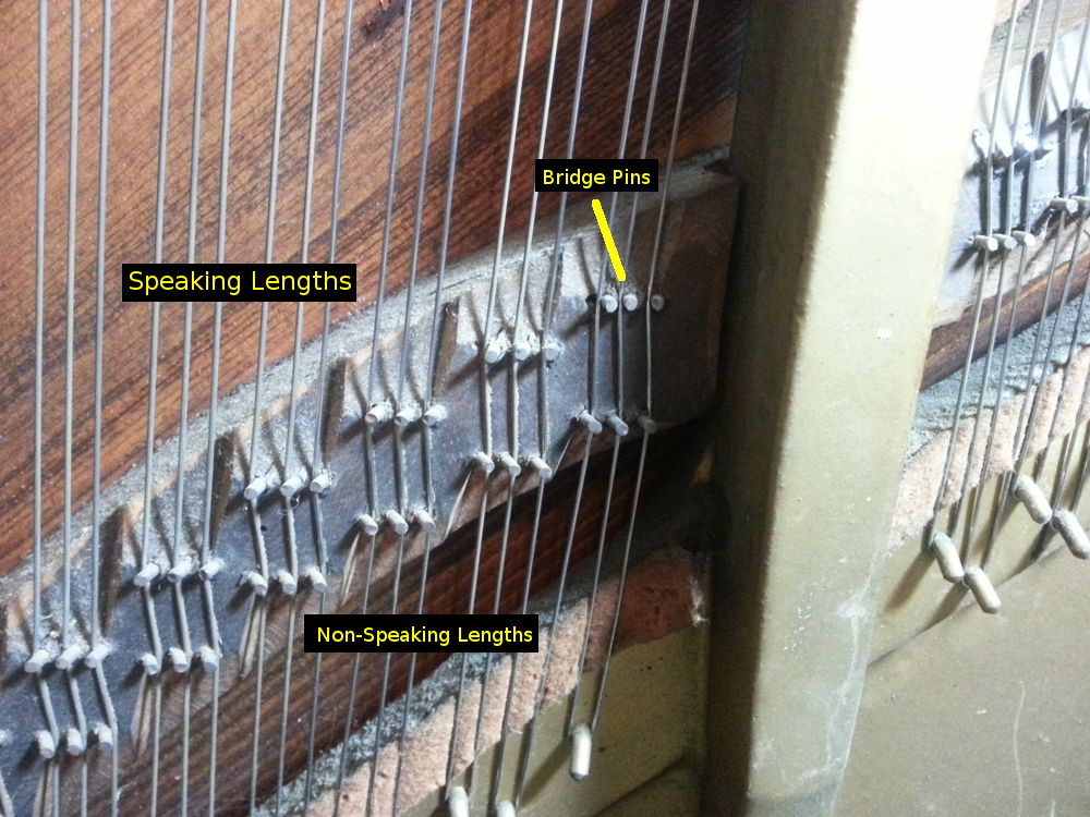 Over time, the tension on the strings causes the holes in the bridge to become enlarged. Note the pin in the center of the photo with the hole on its left side.