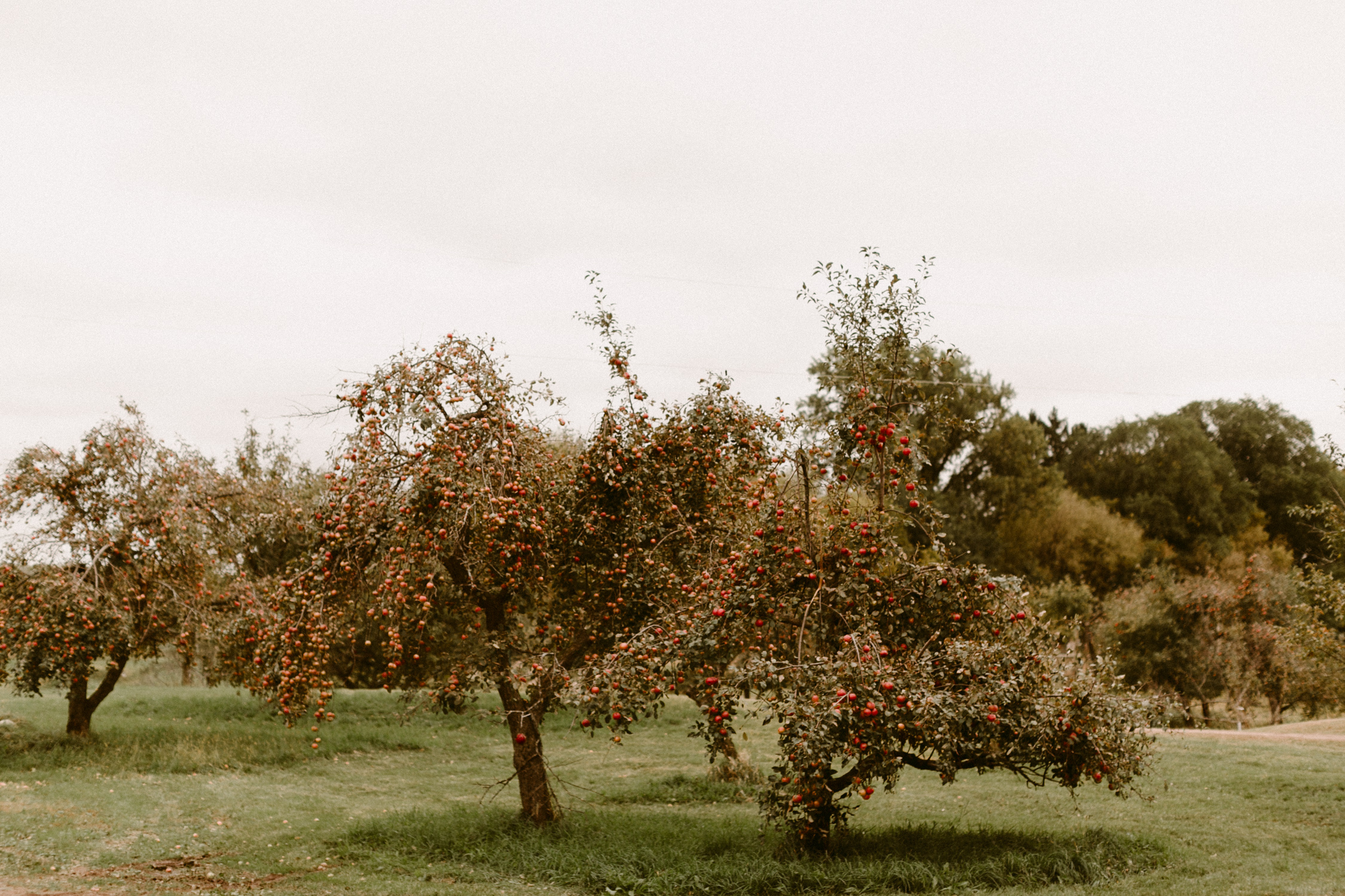 DalbrechtPhotography_EthanEmma_Wedding_Blog-2.jpg