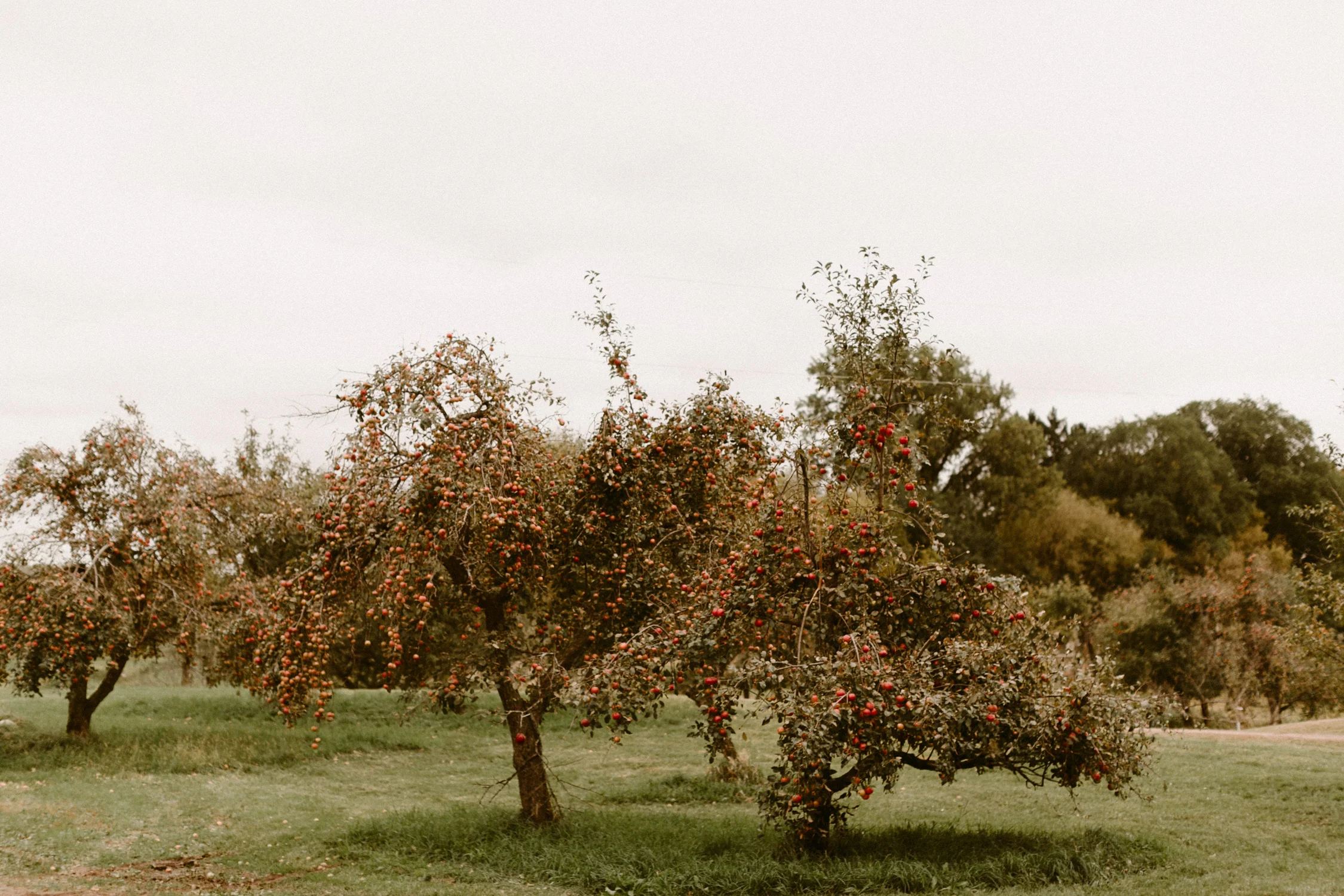 DalbrechtPhotography_EthanEmma_Wedding_Blog-2.jpg