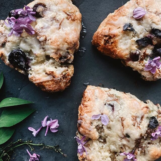 Today&rsquo;s #IntrovertBrunch brought to you by Minneapolis&rsquo; finest of spring fragrant: lilac au naturale and features a childhood nostalgia all baked into flaky goodness: blueberry and lilac scones. 💜 Fun fact: All the kids in my family have