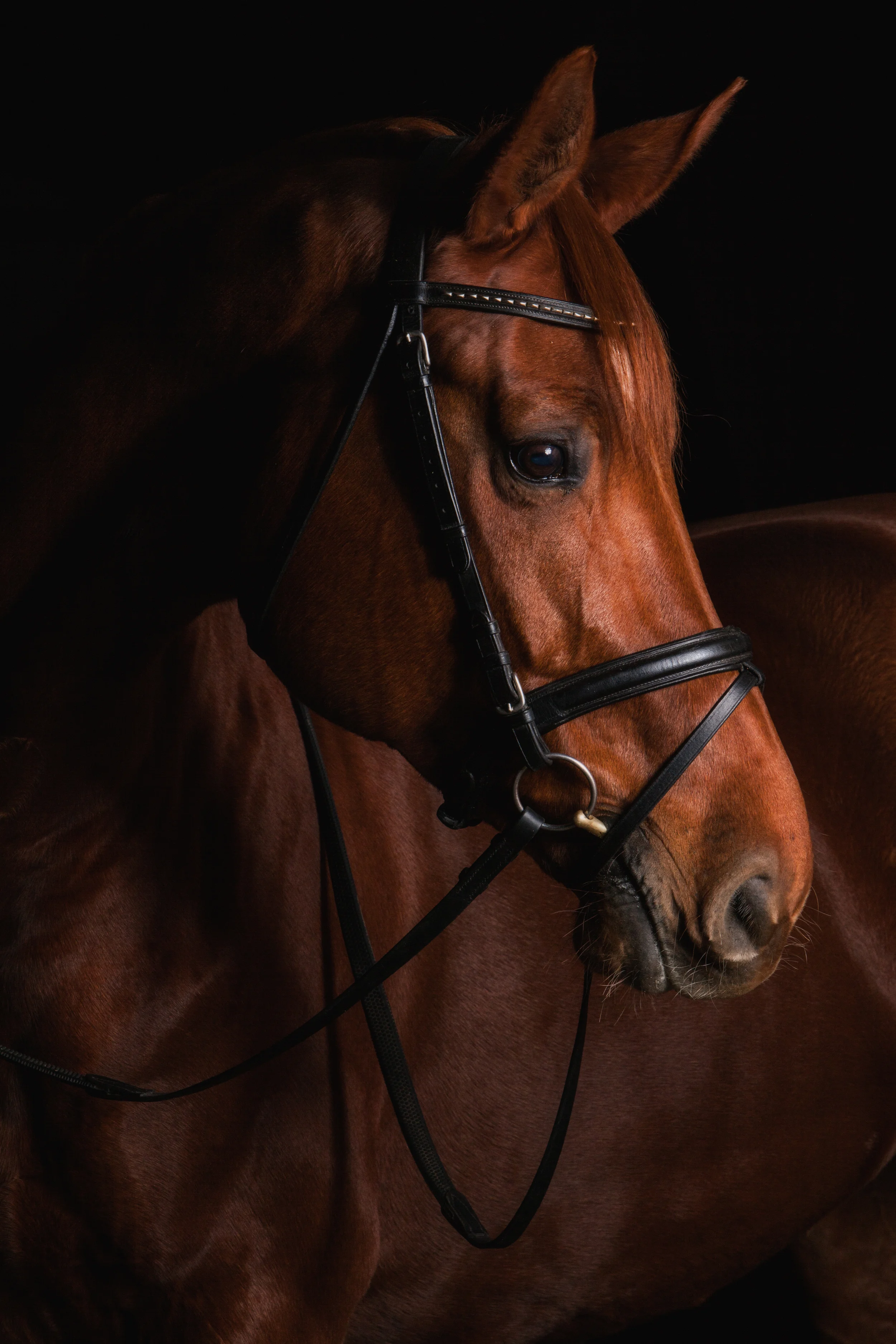 Foxwood 11_15152-Edit.jpg