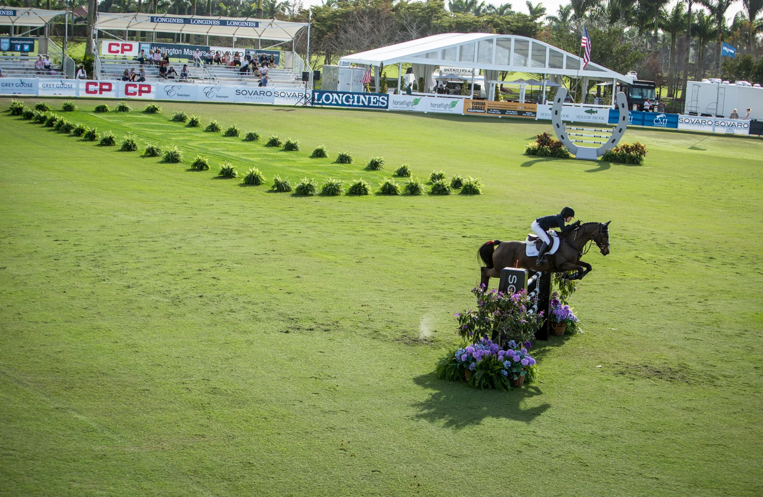 Wellington Masters 1466.jpg