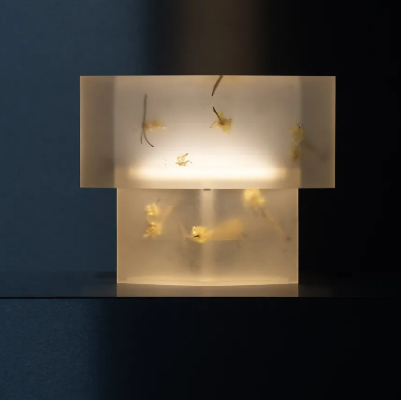 Polish Creativity debuts at Collect 2026 with  ‘Metamorphosis: Craft from Poland’