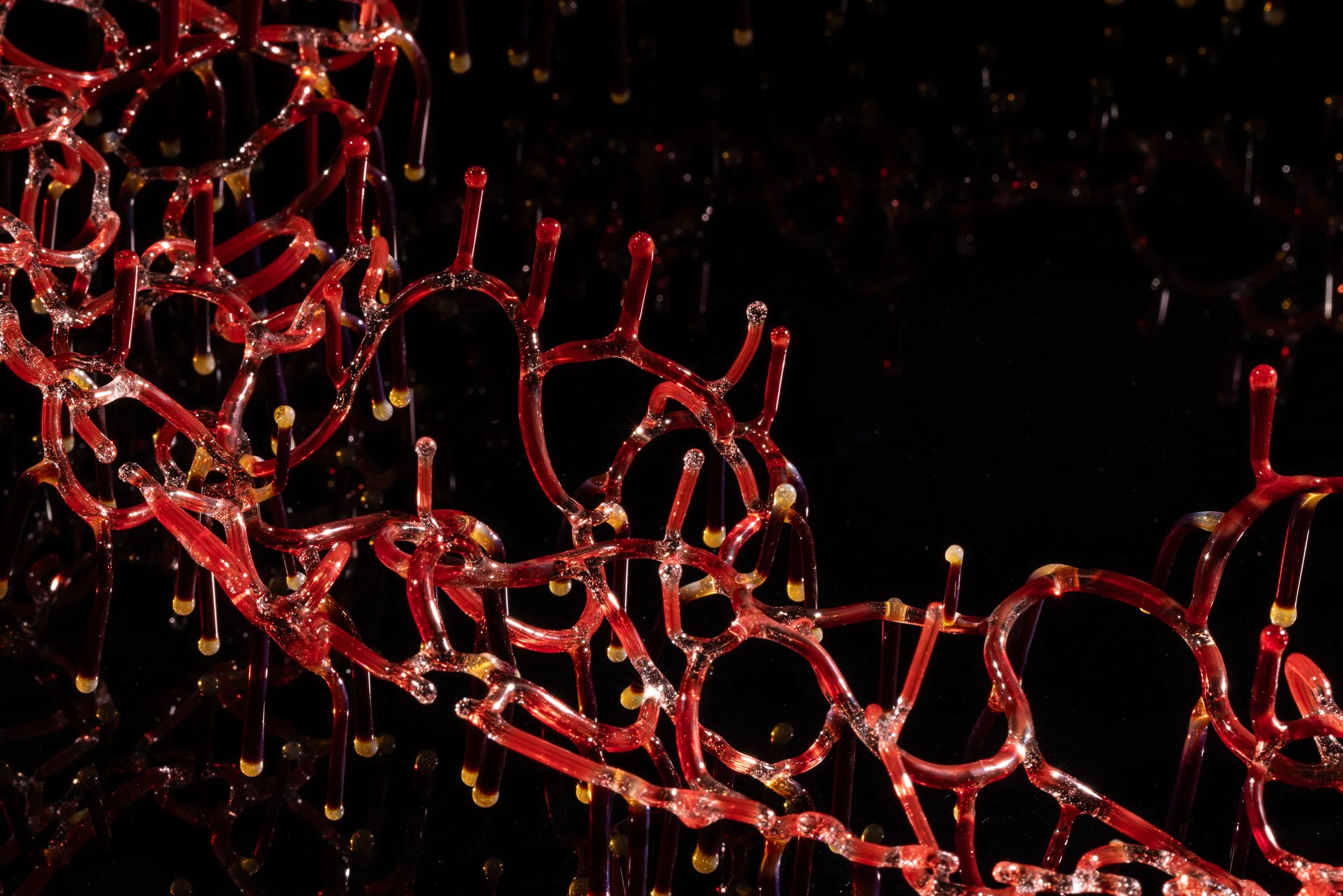 The Other Side_4.jpg