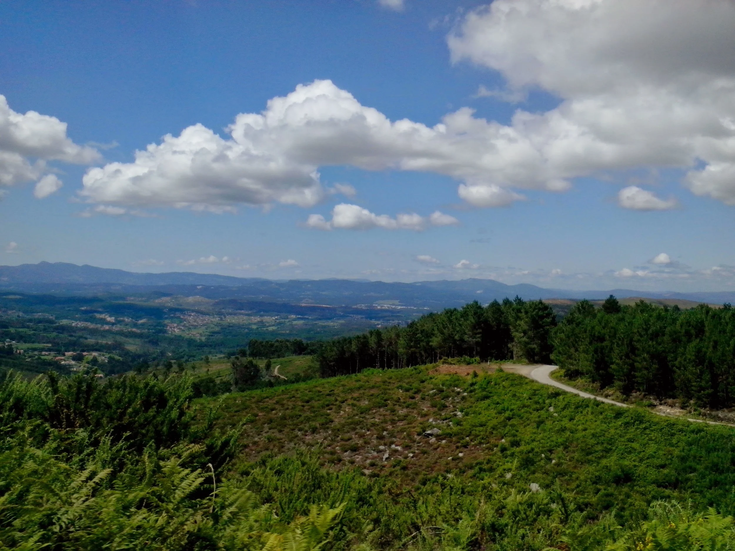 Minho Valley, Monção, North Portugal