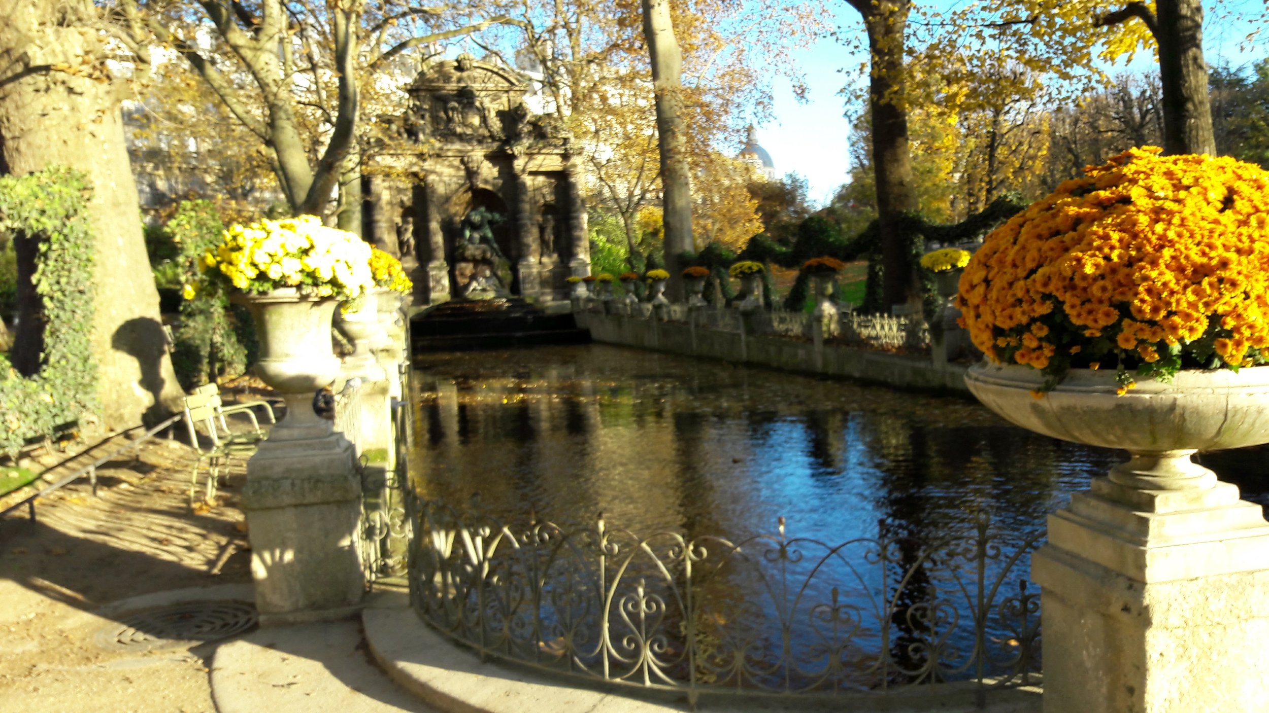 A golden garden ready for November.