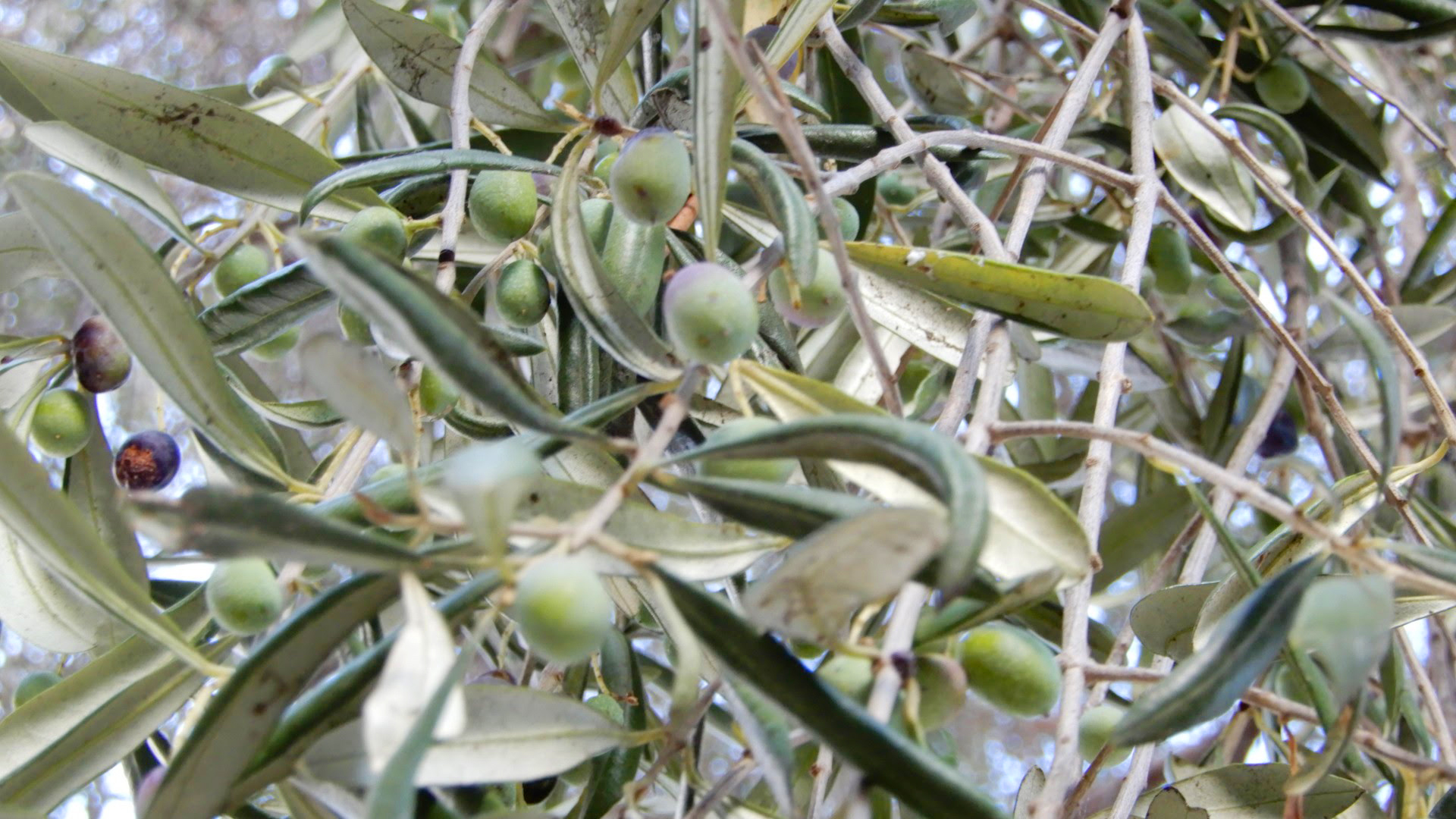 DSCN0324.jpg