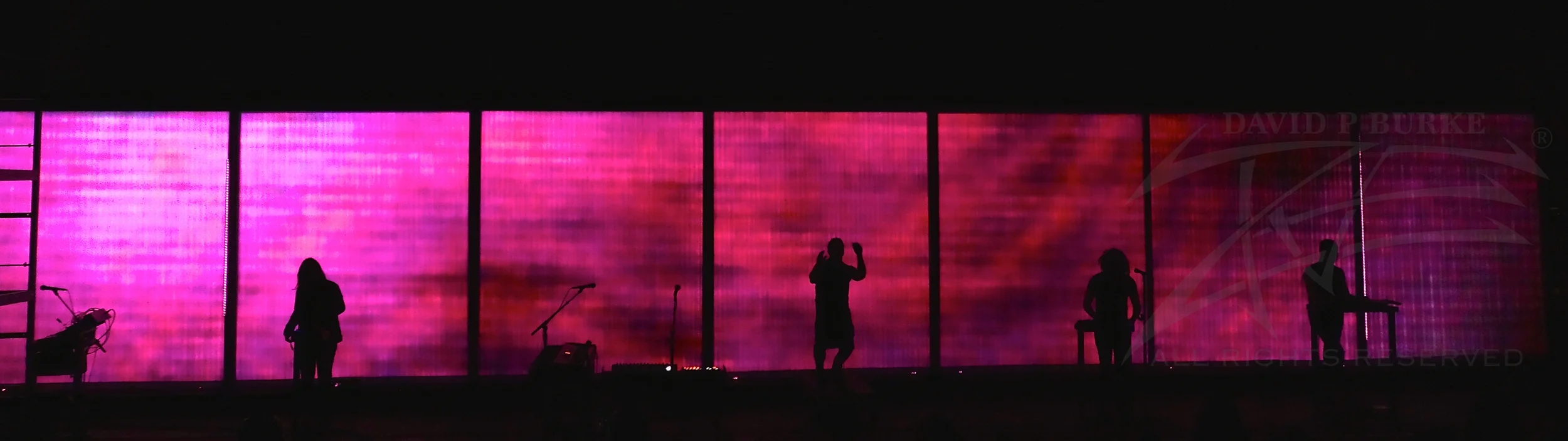 NIN photo: David Burke