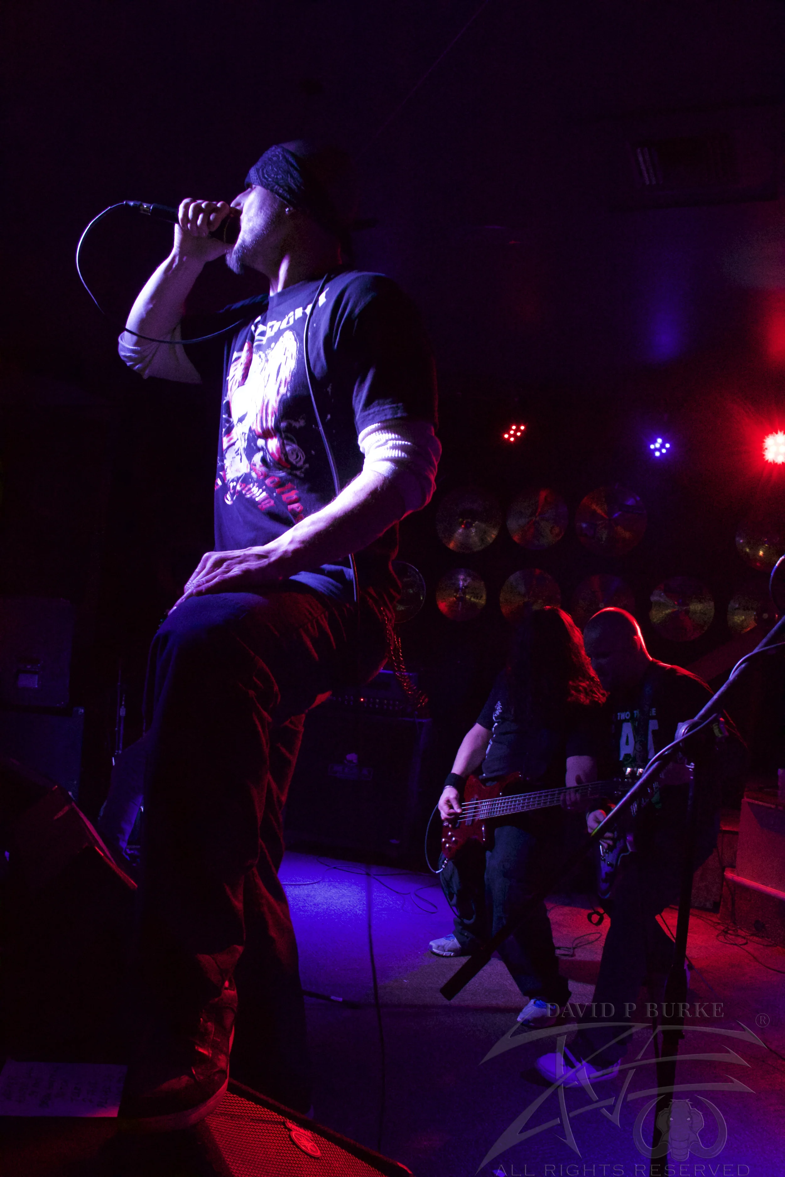 Fist Fight photo: David Burke