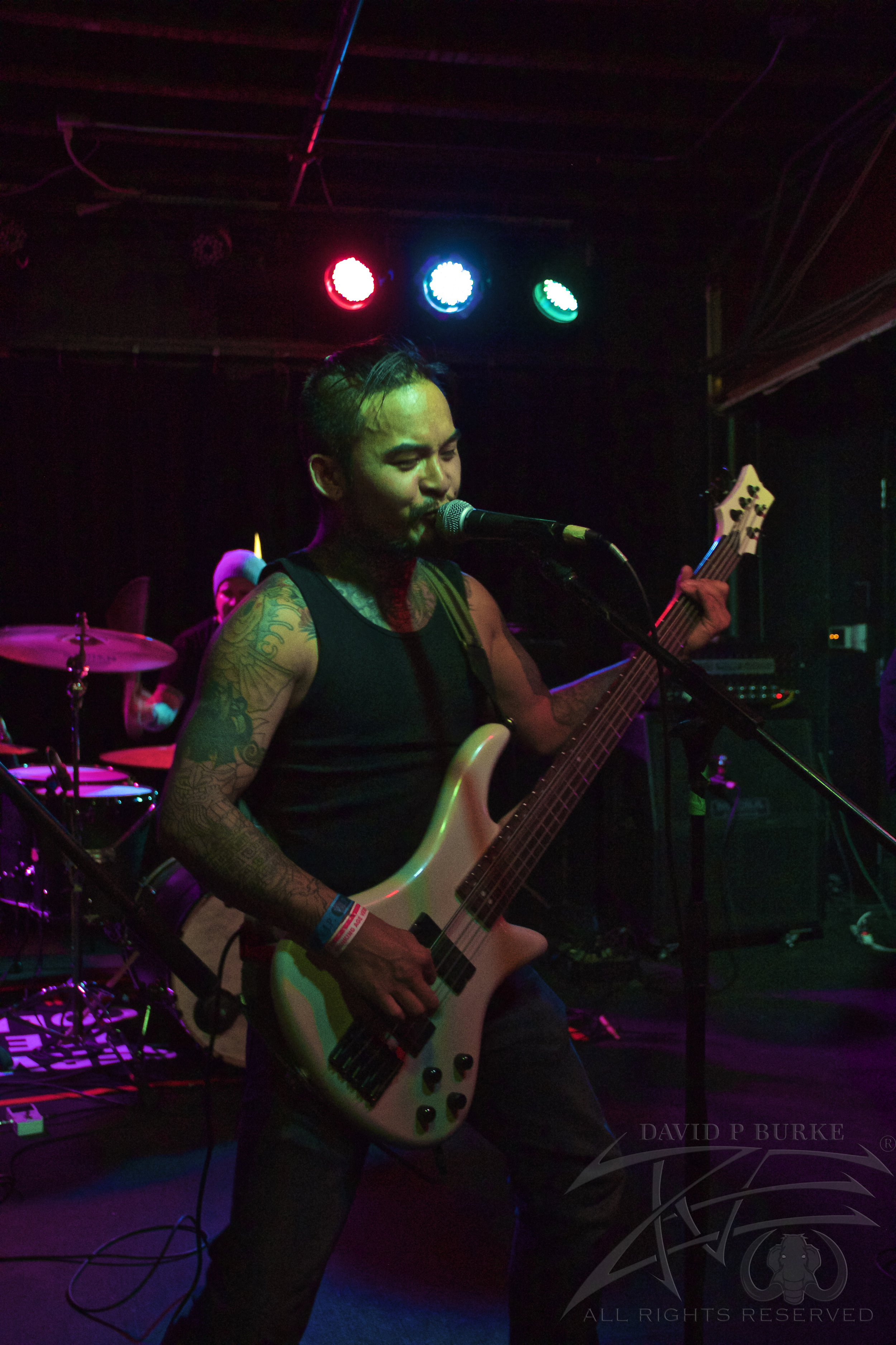 Son Survivor's bassist Rob photo: David Burke