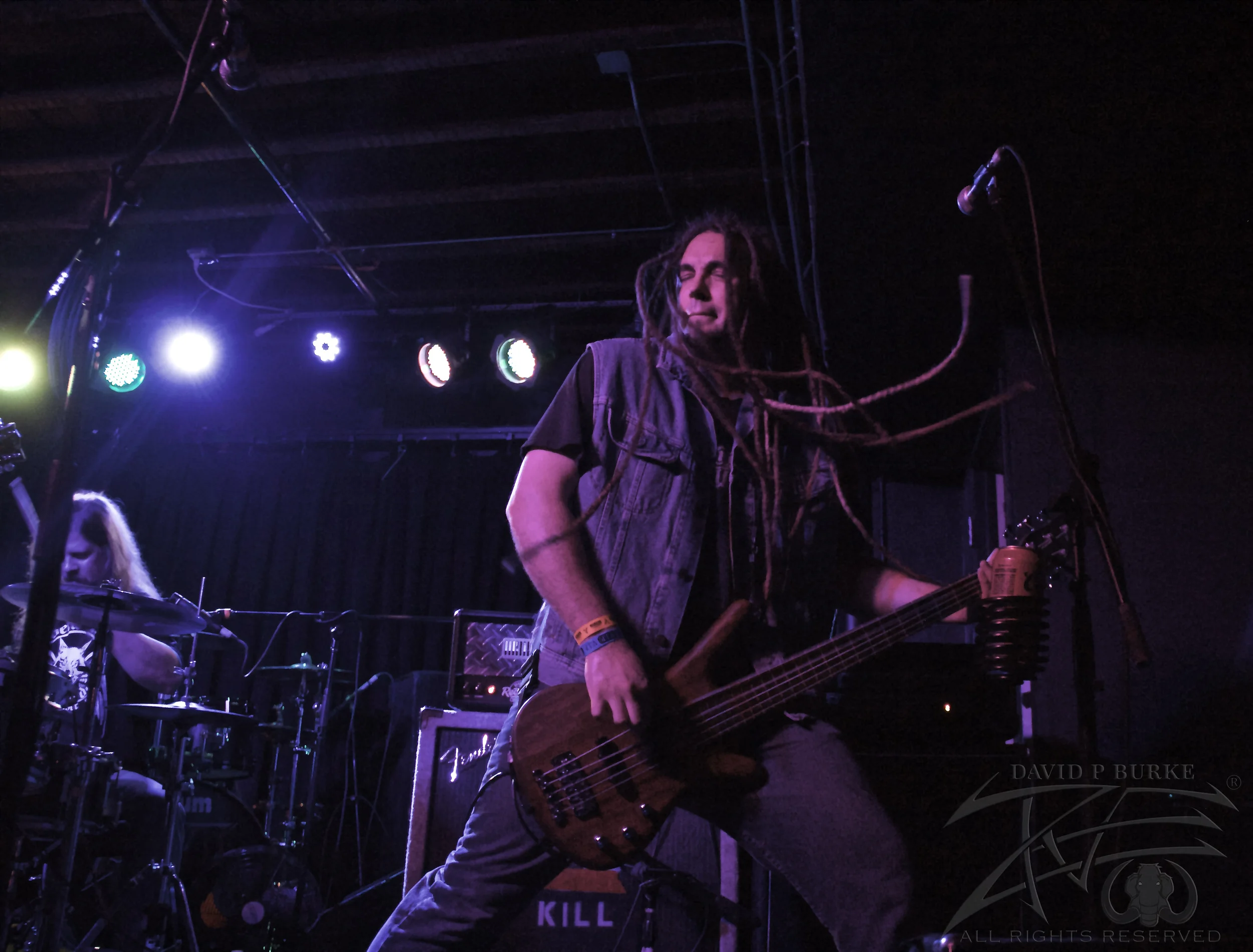 Lotus Gait bassist Tim Hankinson photo: David Burke