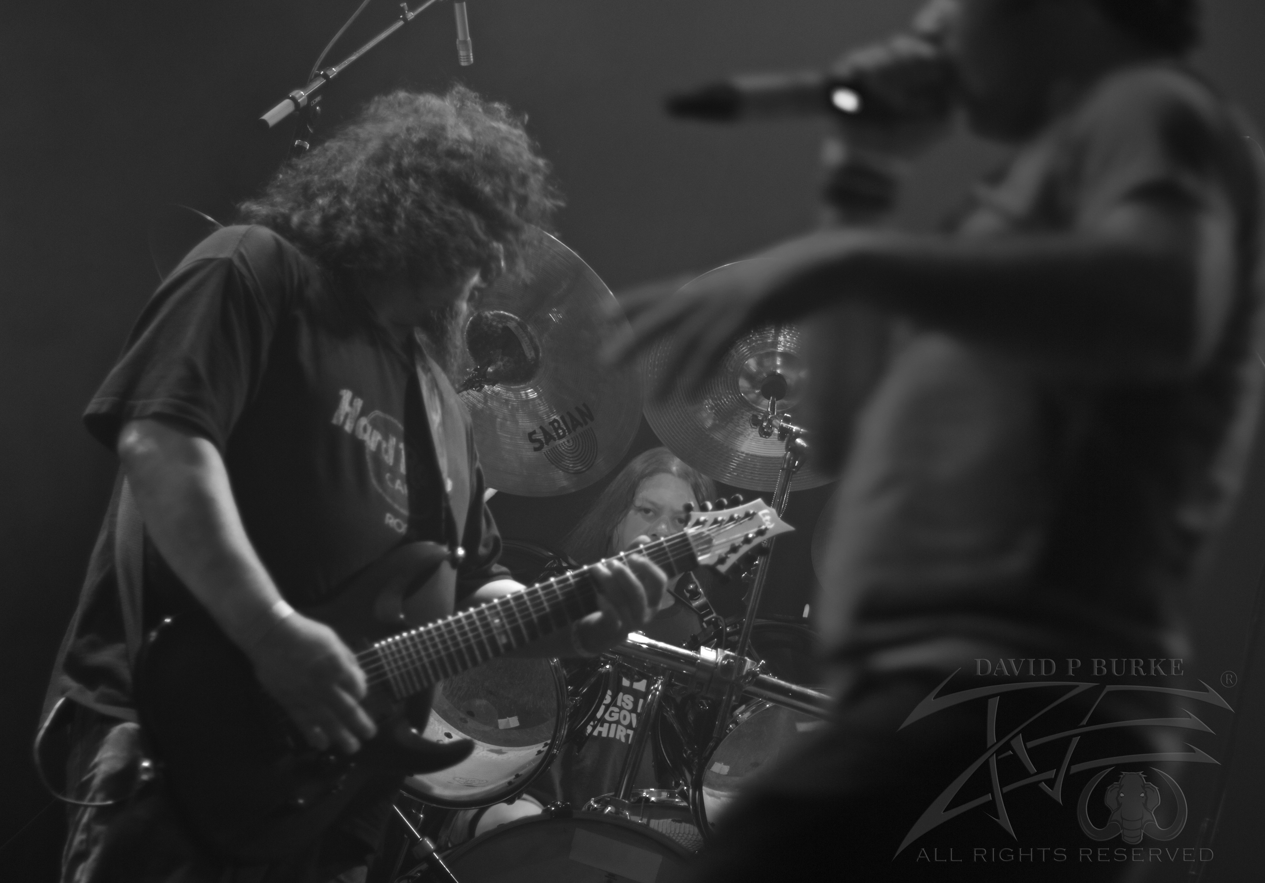 Perpetual Dementia photo: David Burke