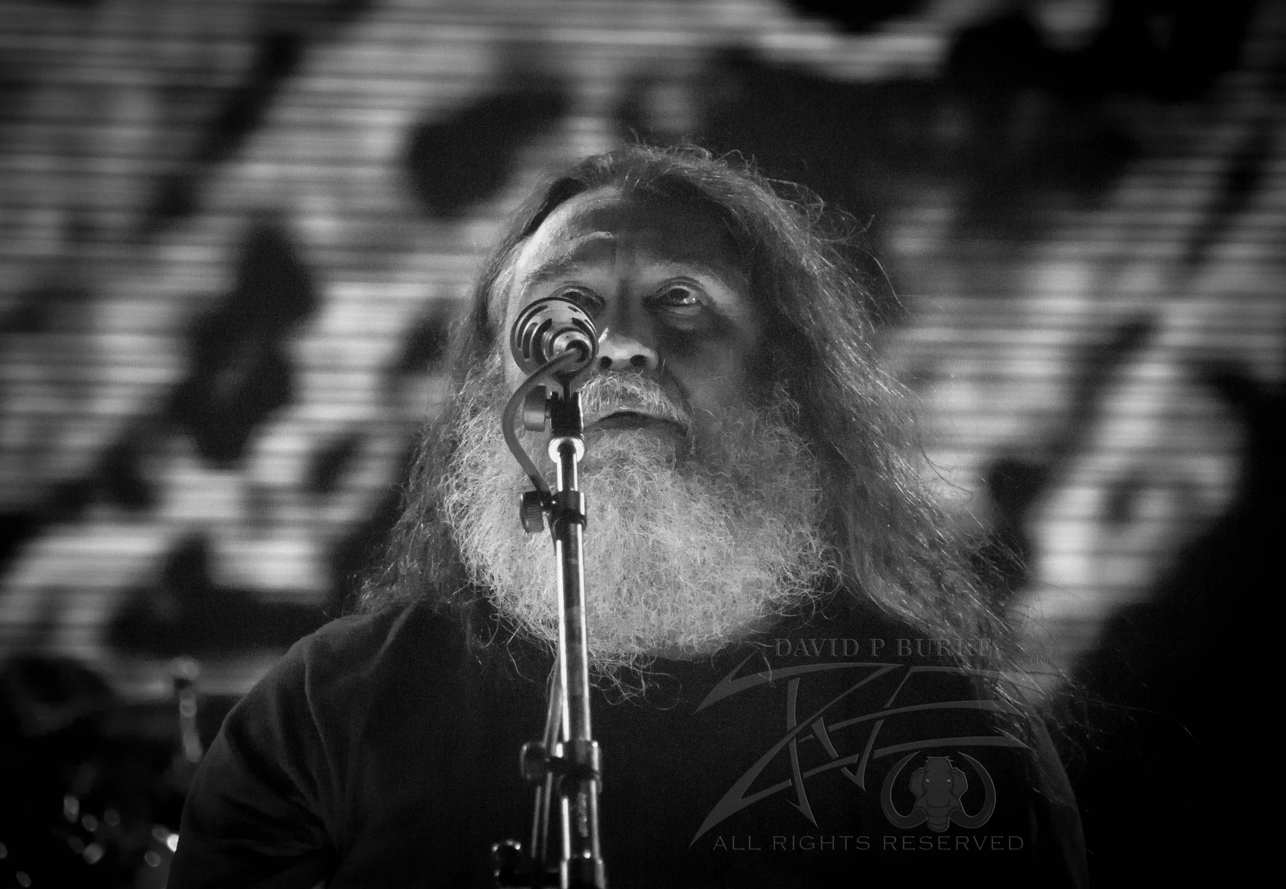 SLAYER! photo: David Bu rke