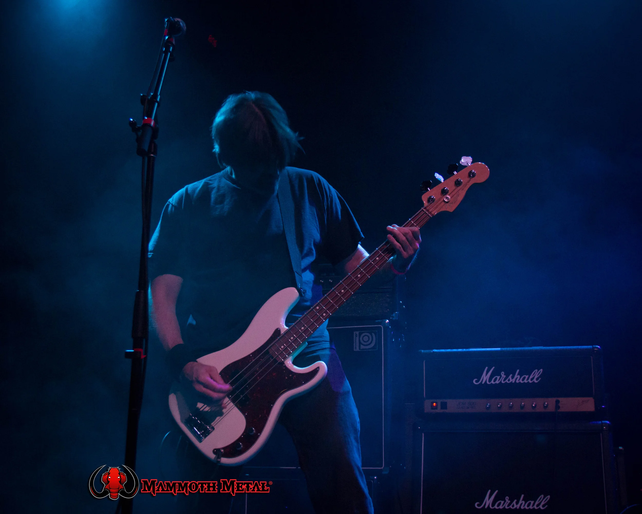 Killer Bronze bassist Steve Waltman photo: David Burke