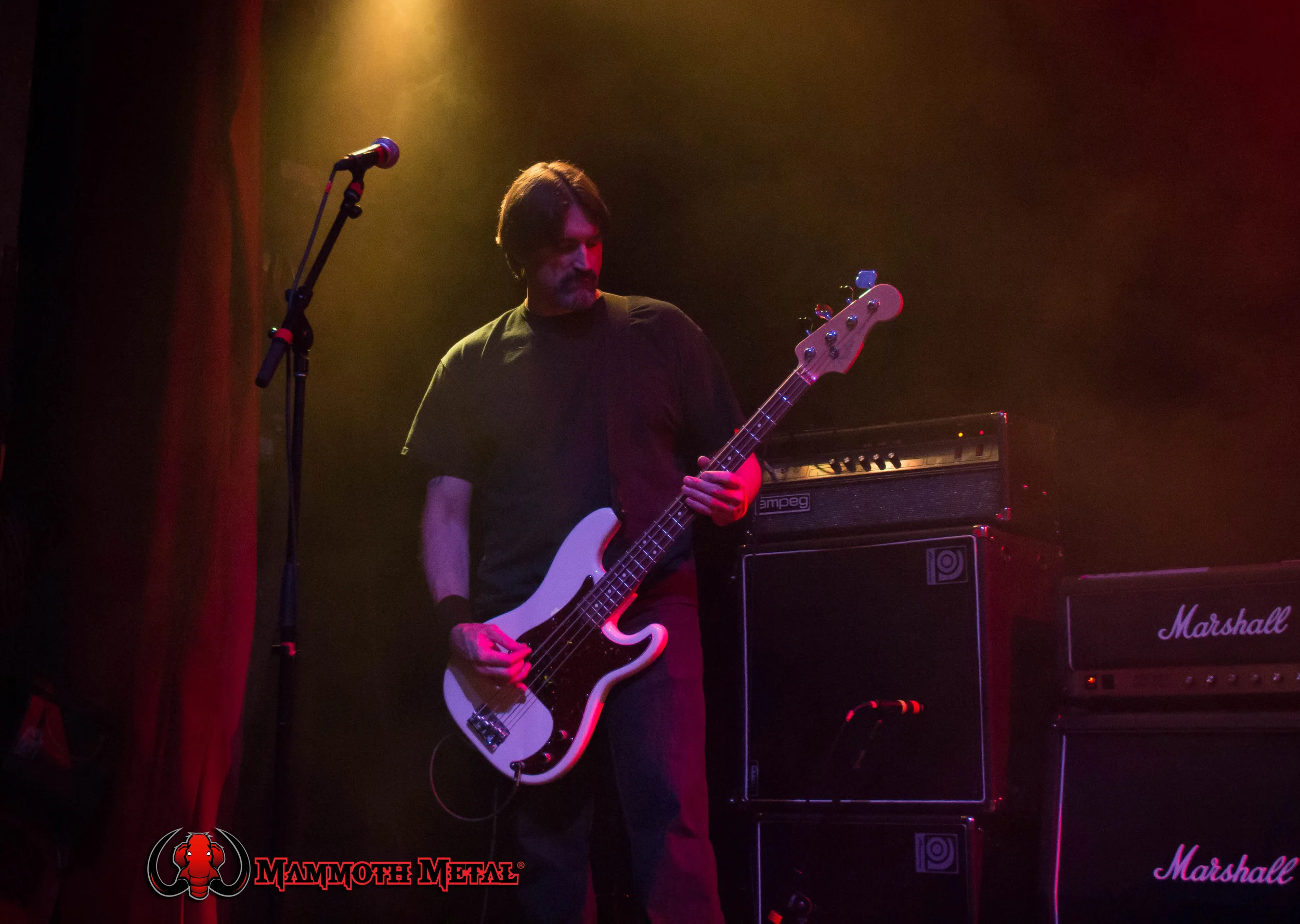 Bronze bassist Steve photo: David Burke