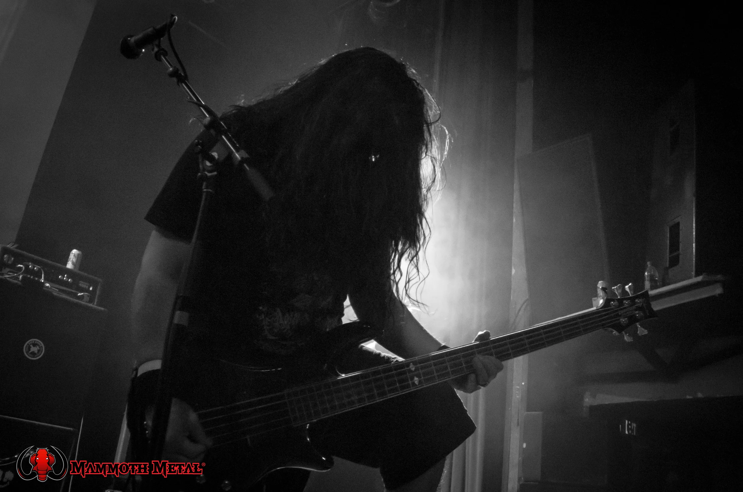 Fist Fight bassist Adrian Montoya photo: David Burke