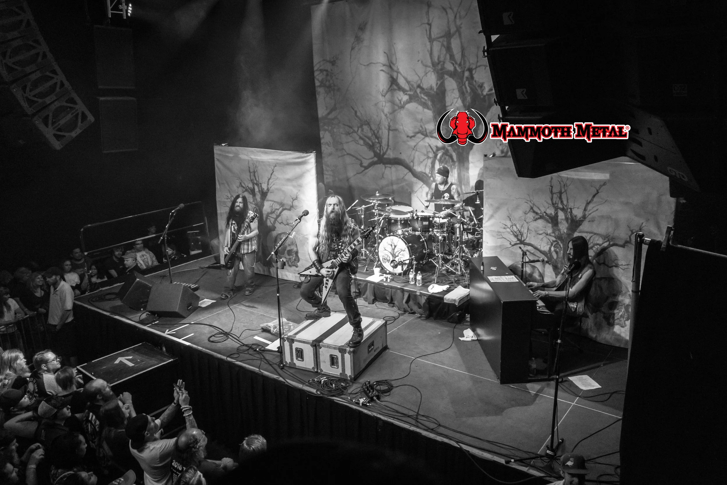 BLS plays to a sold out venue photo: David Burke