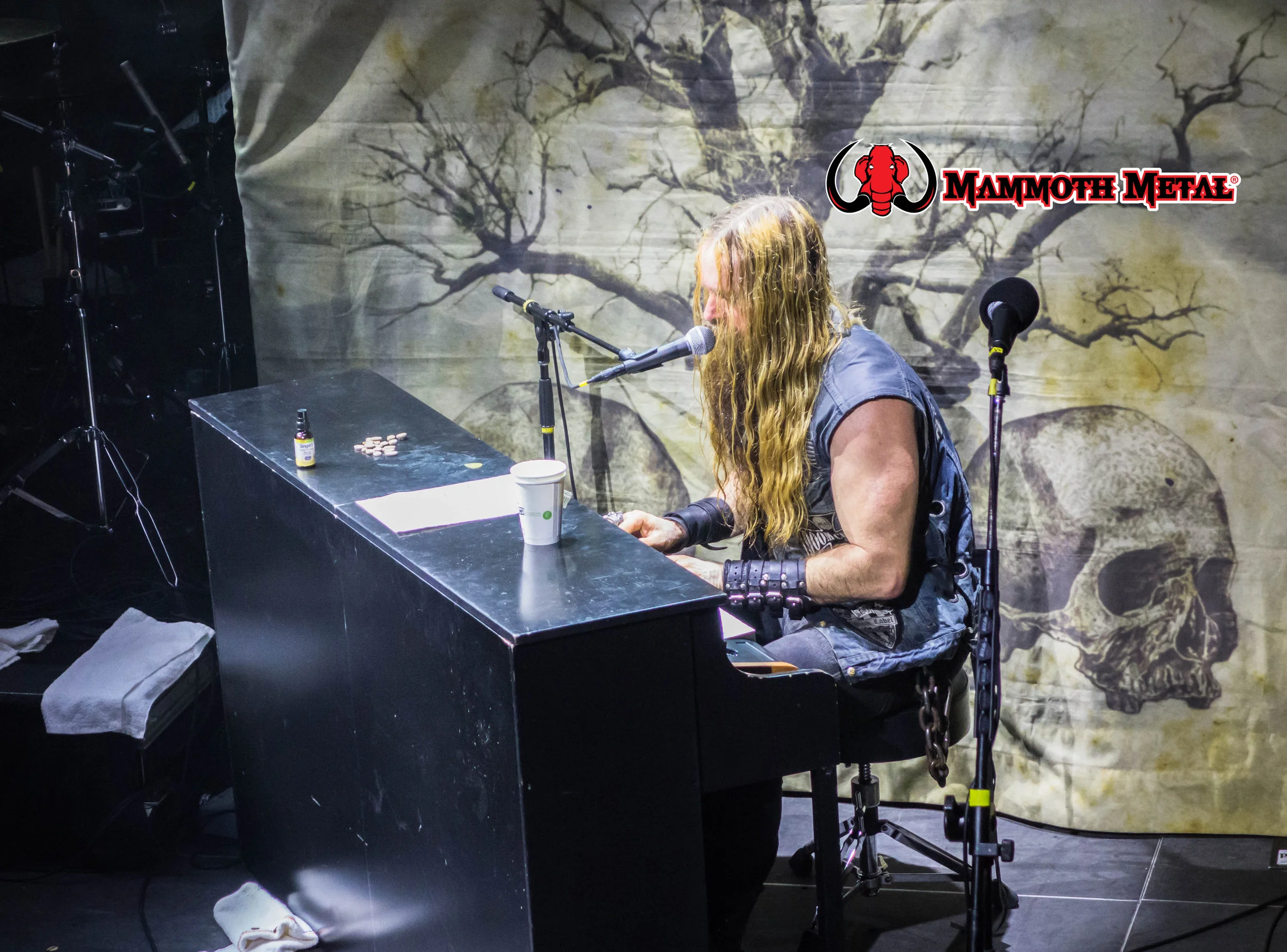 Zakk tickling the ivories photo: David Burke