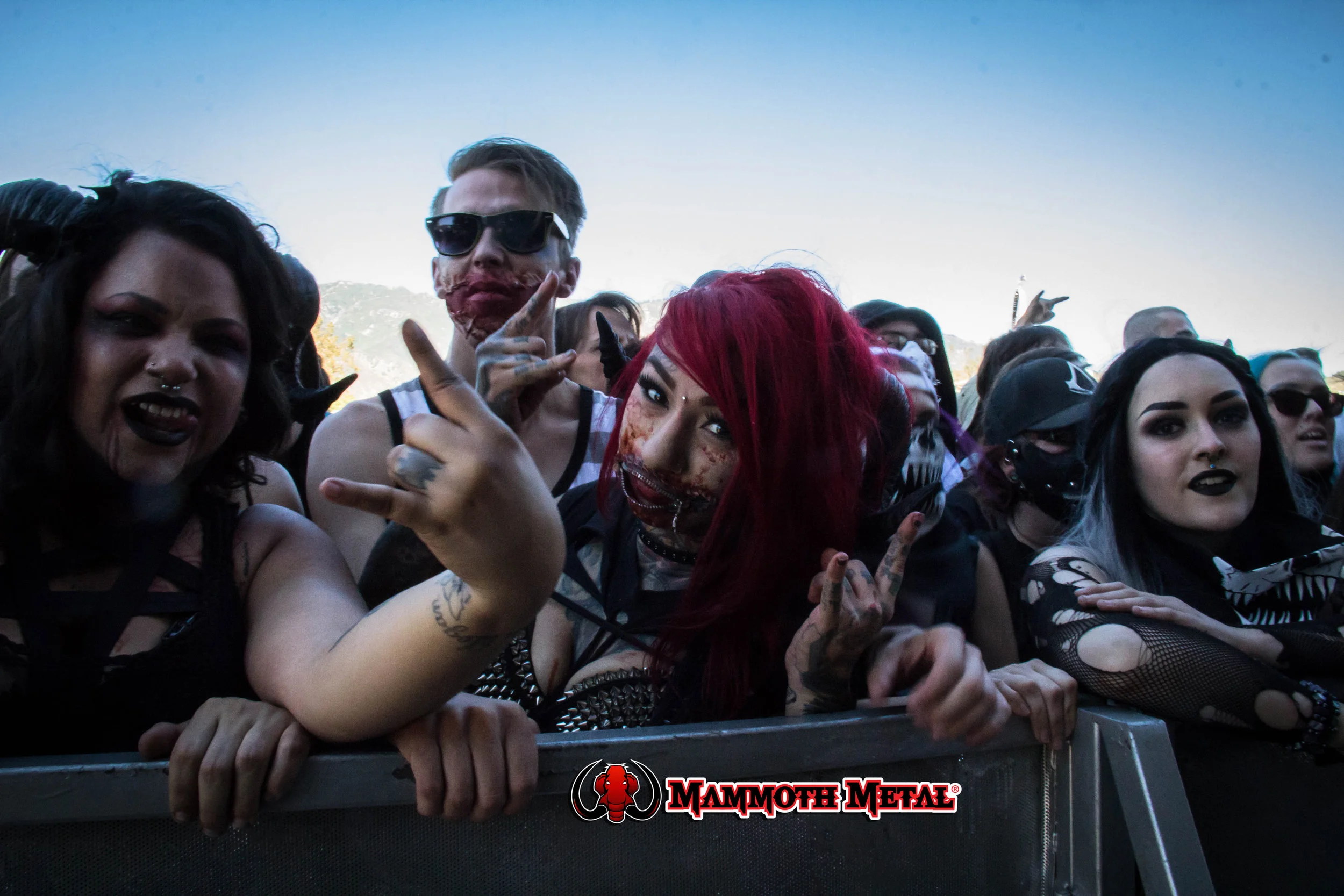 Metal rules photo: David Burke