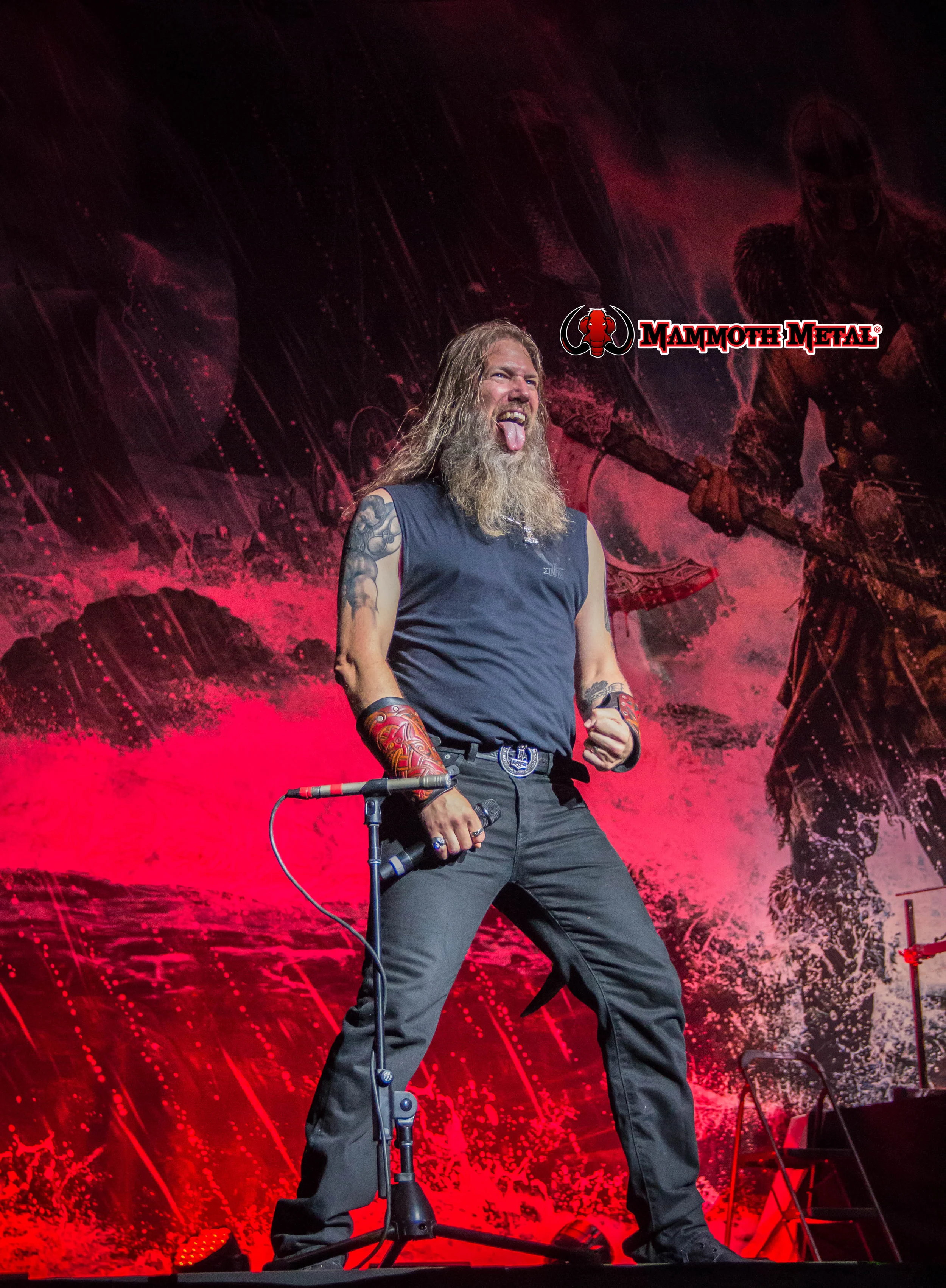 The Way of the Vikings photo: David Burke