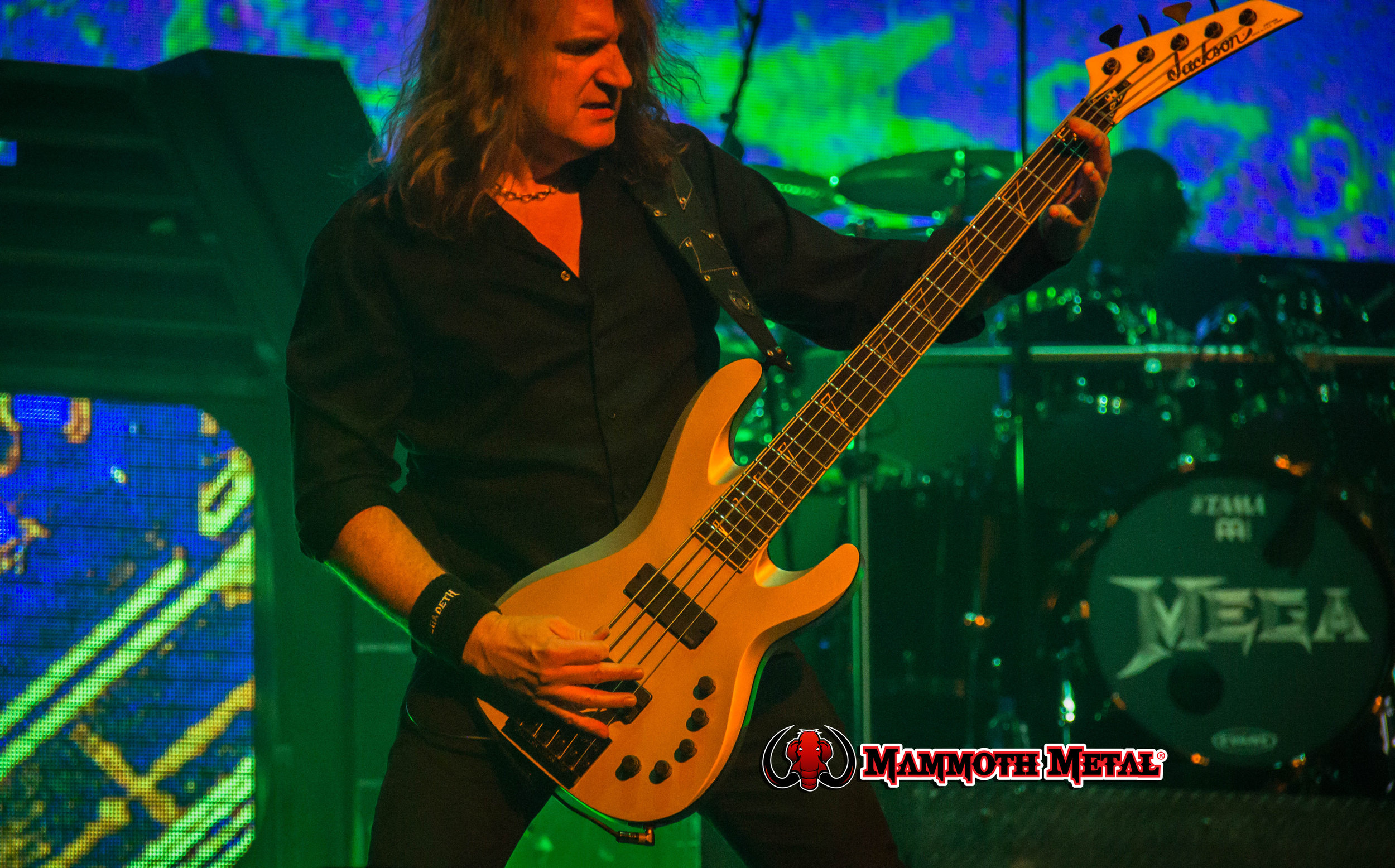 Symphony of Deth with David Ellefson photo: David Burke