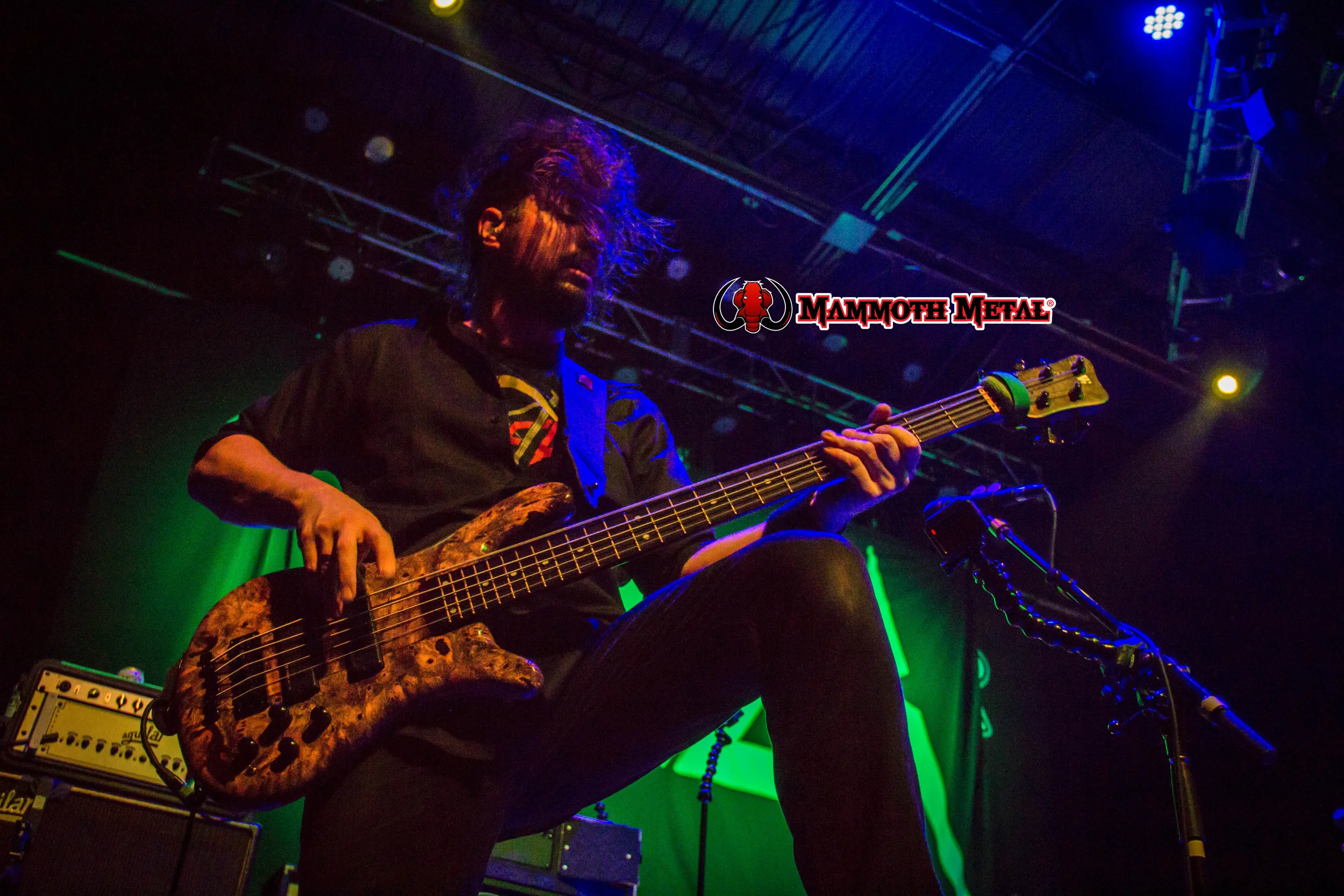Havok photo: David Burke