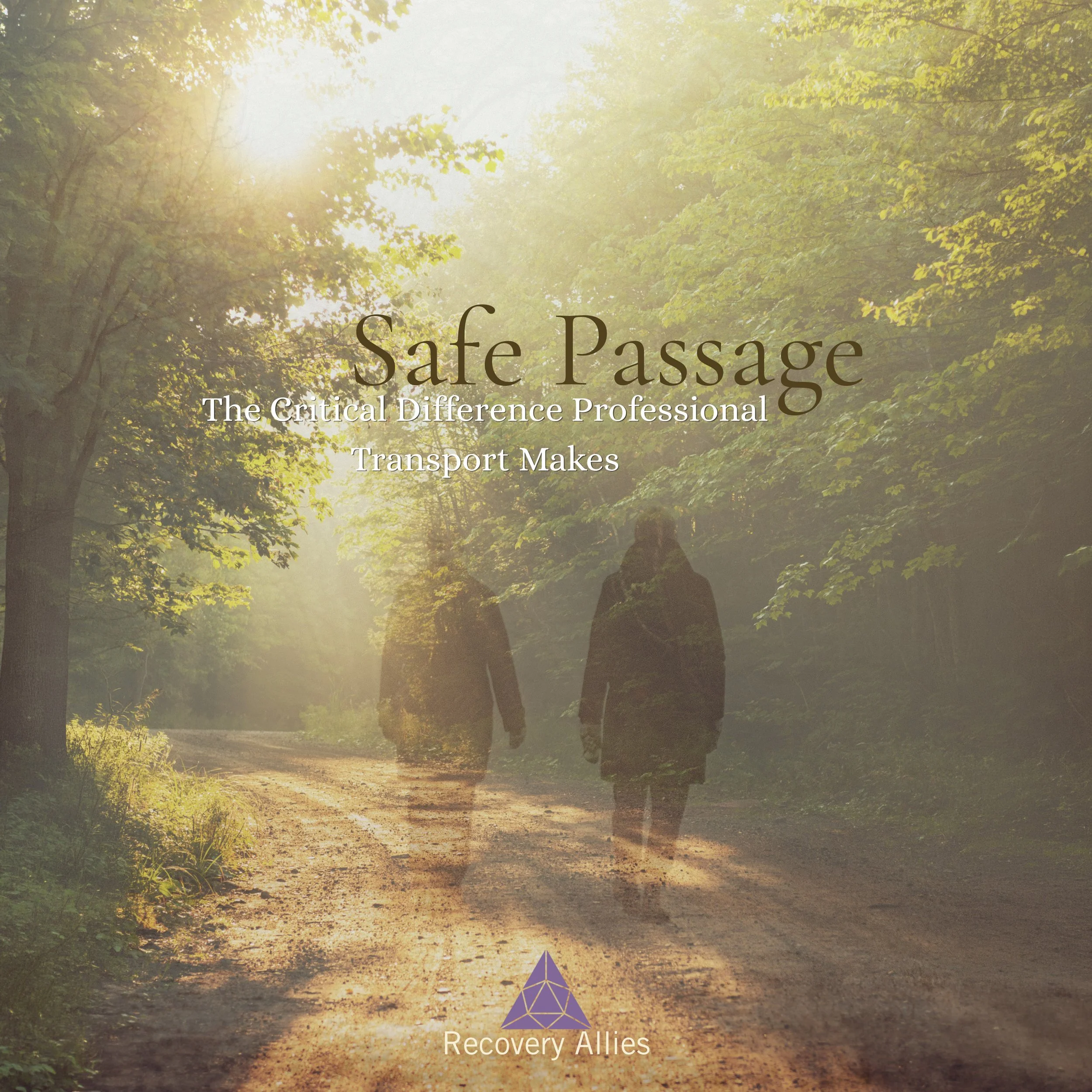 Safe Passage: The Critical Difference Professional Transport Makes