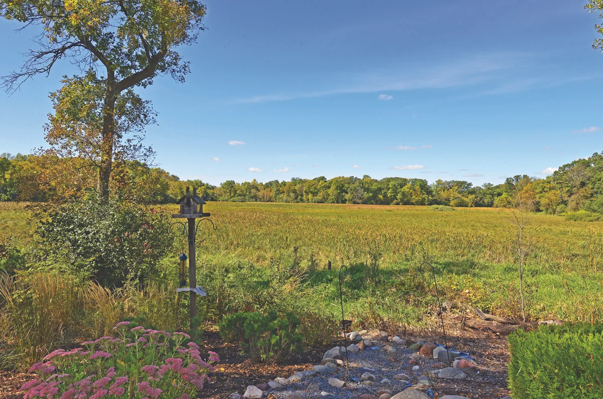 wetlands view.jpg