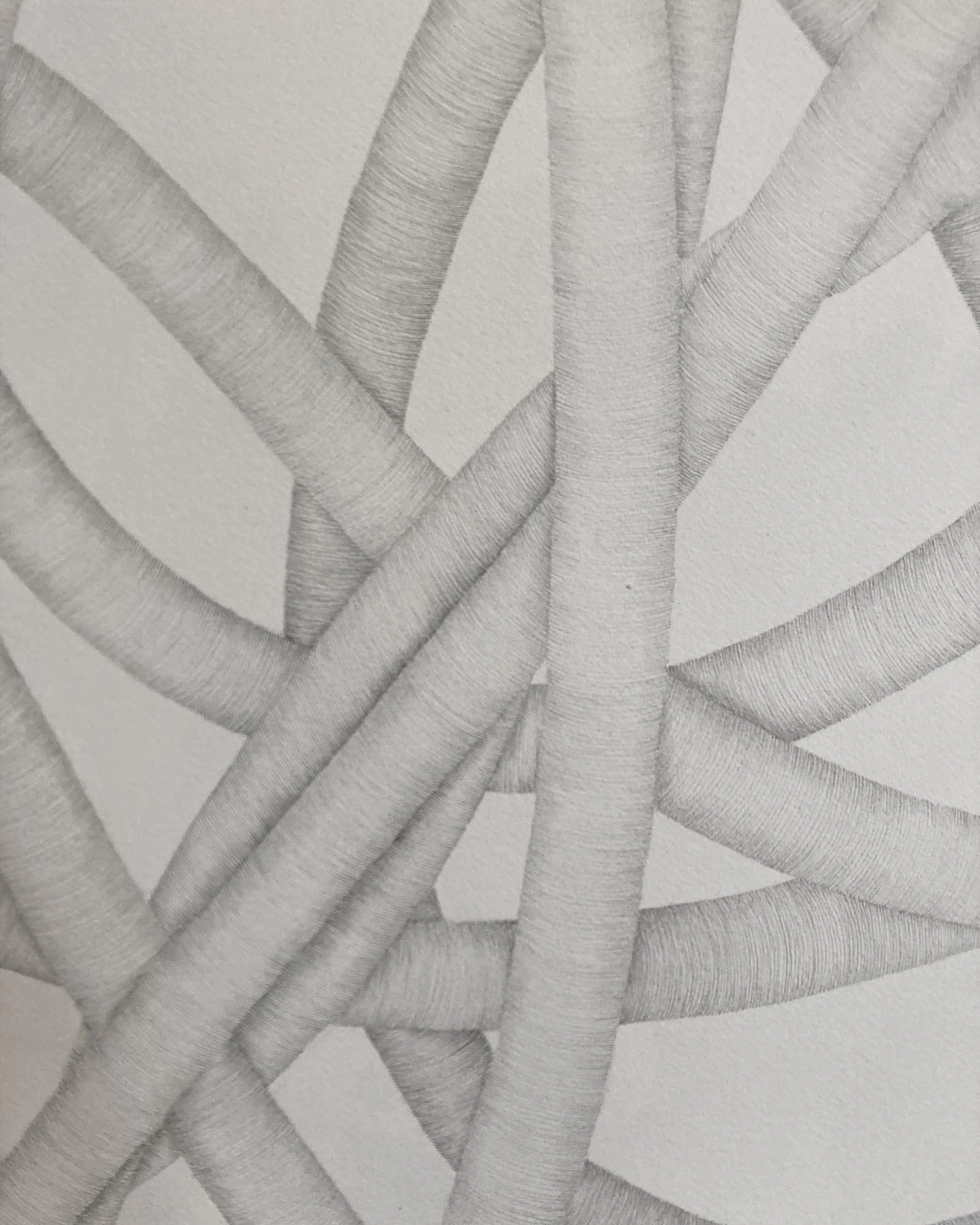 (detail) Pencil on Paper - 73 x 113 cm 