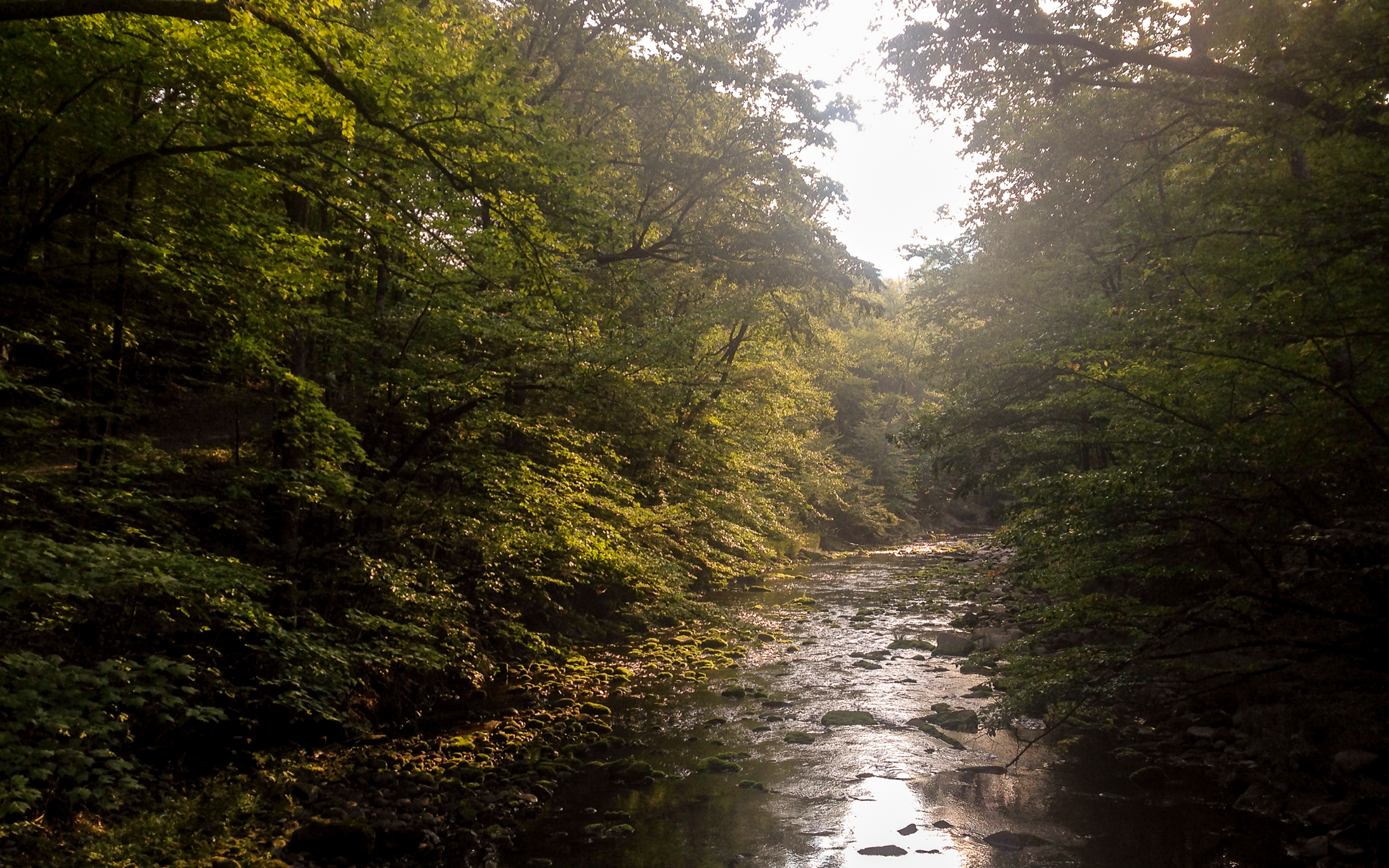 Primitive Camping Catskill Blog Elizabeth Celeste Ibarra