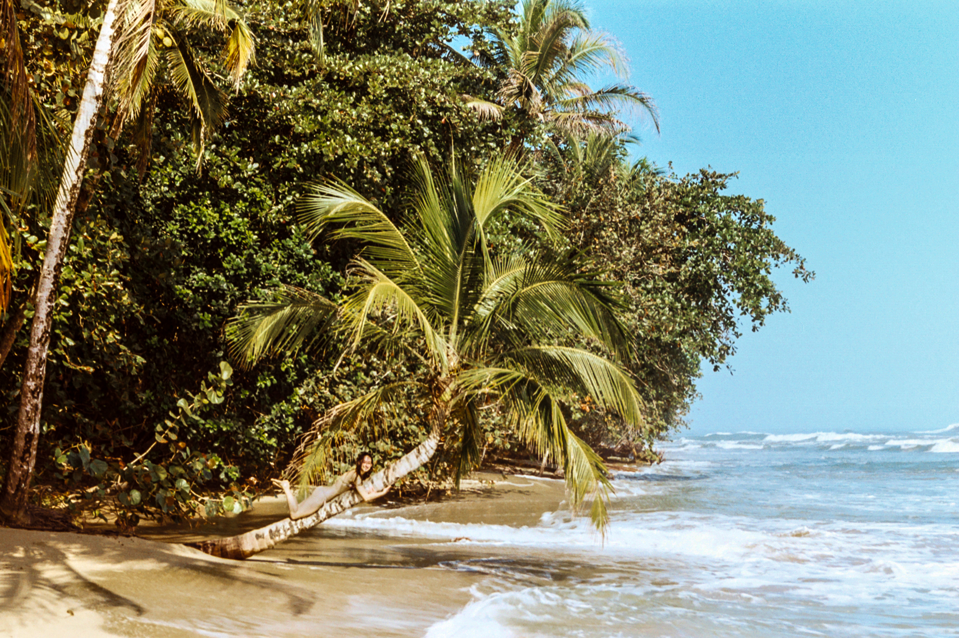 ibarra_lAA022-2.jpg