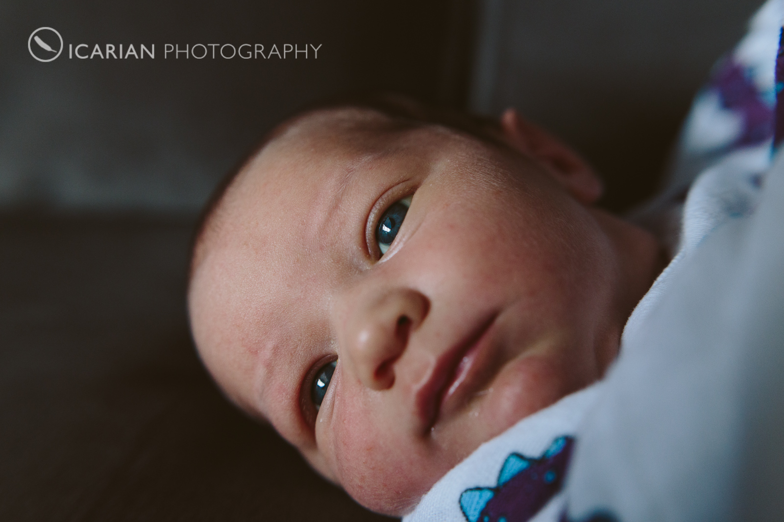 East Bay Newborn Photographer.png