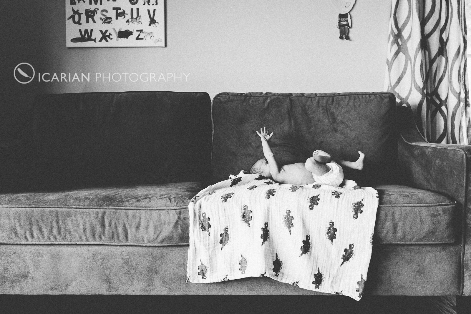 Oakland Newborn Photographer.png