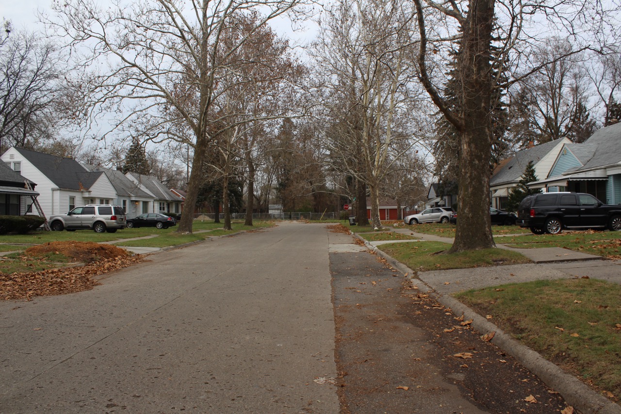street view1.jpeg