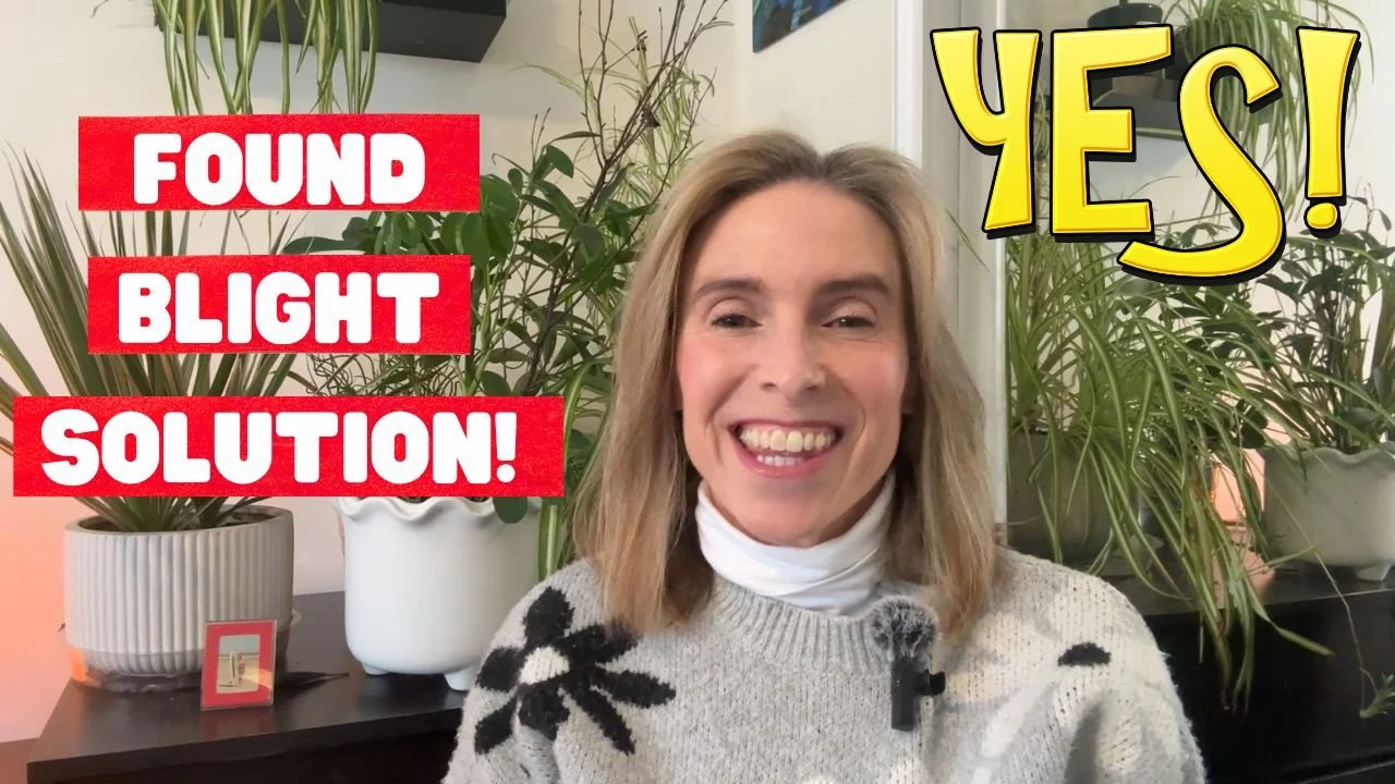 Detroit Blight Tickets Are Costing Investors Thousands — Here’s a New Tool That Helps Prevent Them