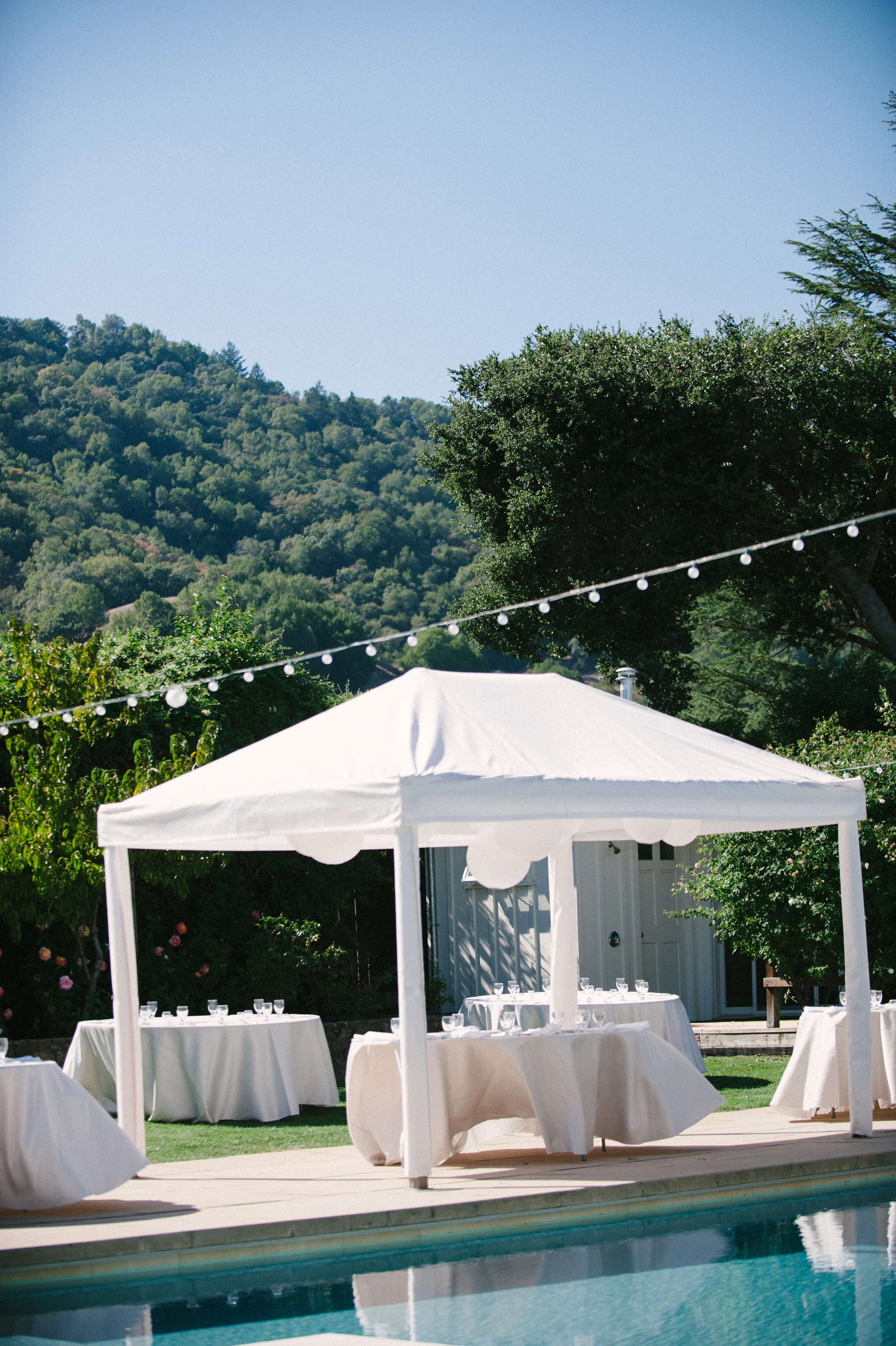 Alana Tyson Final 269.jpg