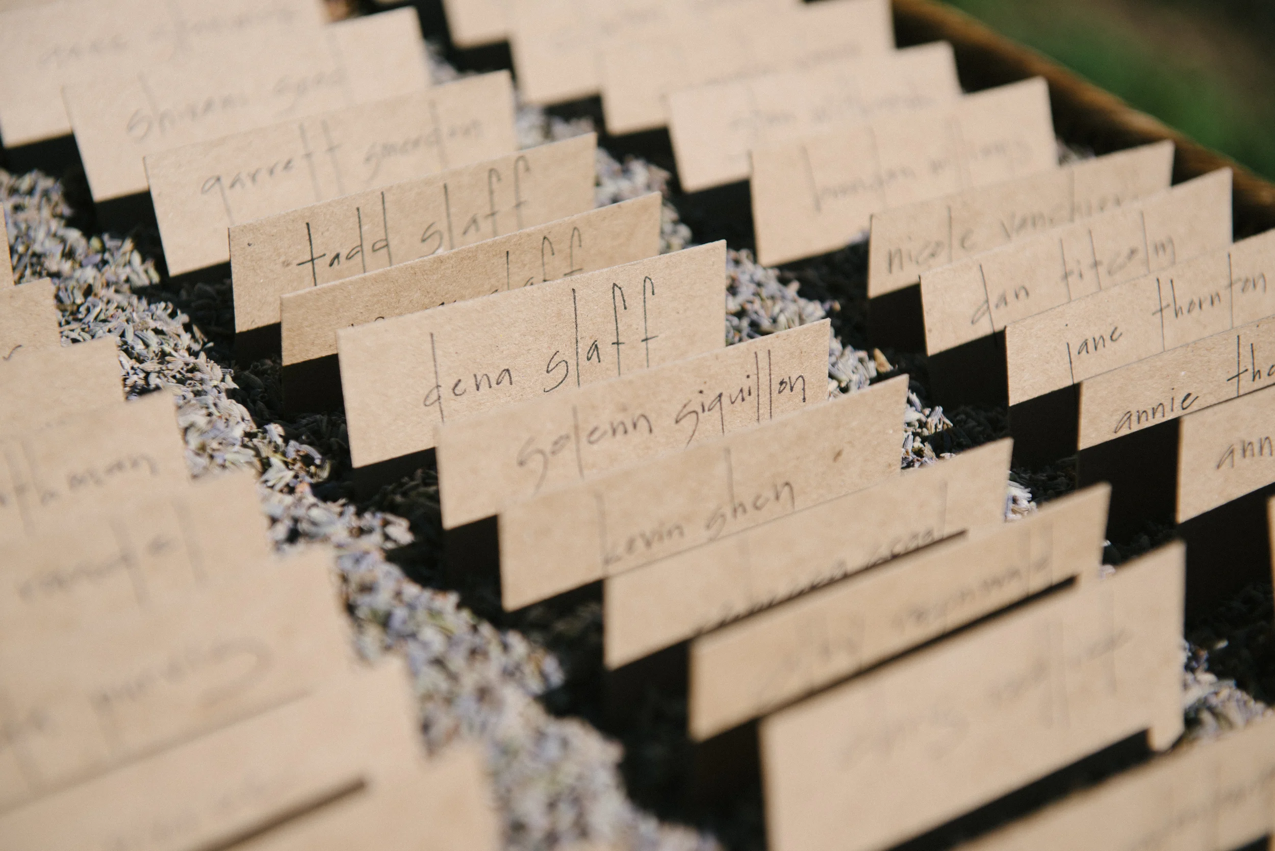 Alana Tyson Final 274.jpg