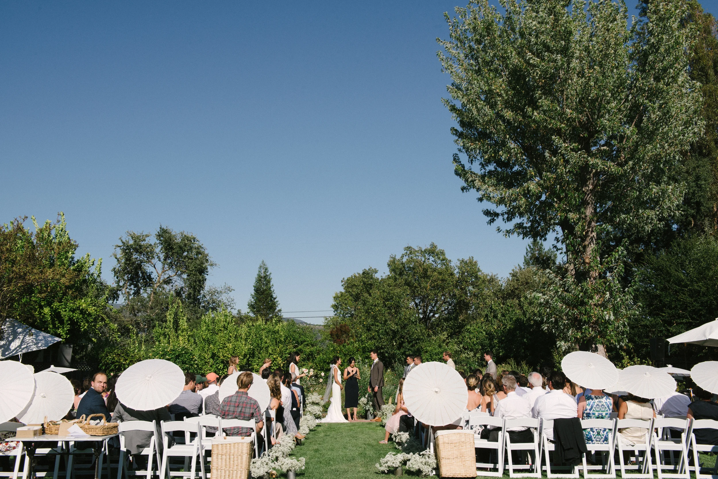 Alana Tyson Final 385.jpg