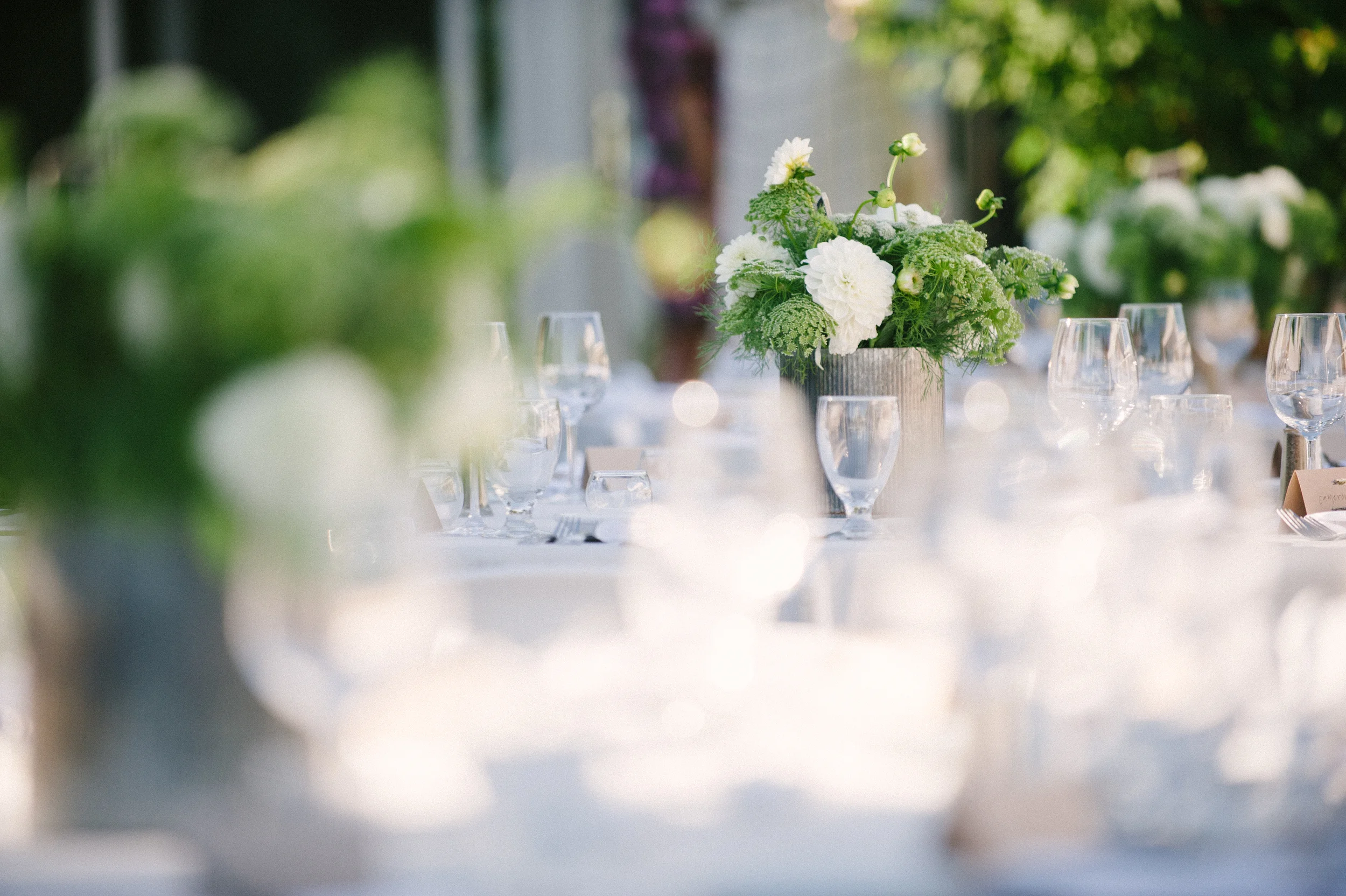 Alana Tyson Final 471.jpg